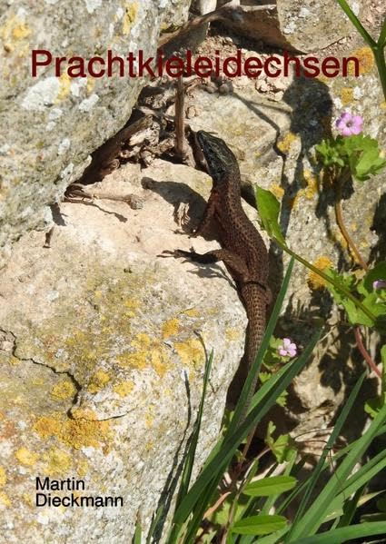 Prachtkieleidechsen: im Lebensraum und Terrarium Pets