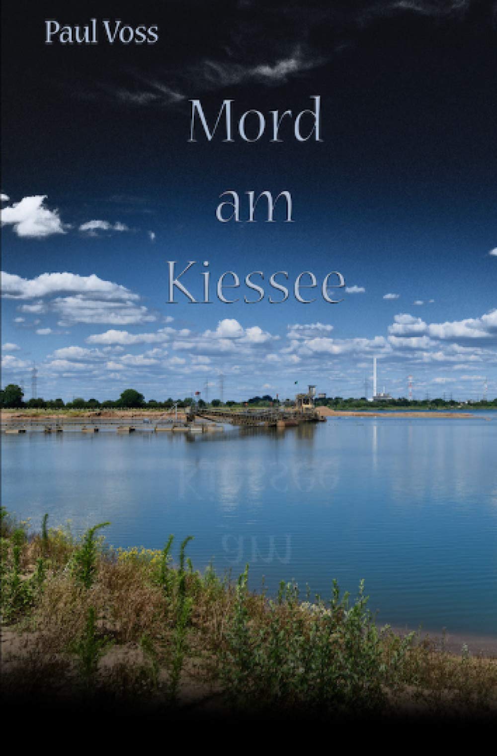 Mord am Kiessee (Krimis aus dem Südkreis Nienburg) Contemporary literature Books