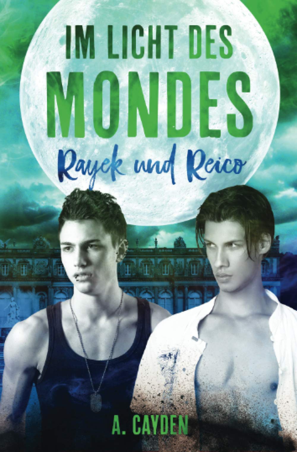 Im Licht des Mondes: Rayek und Reico Contemporary literature
