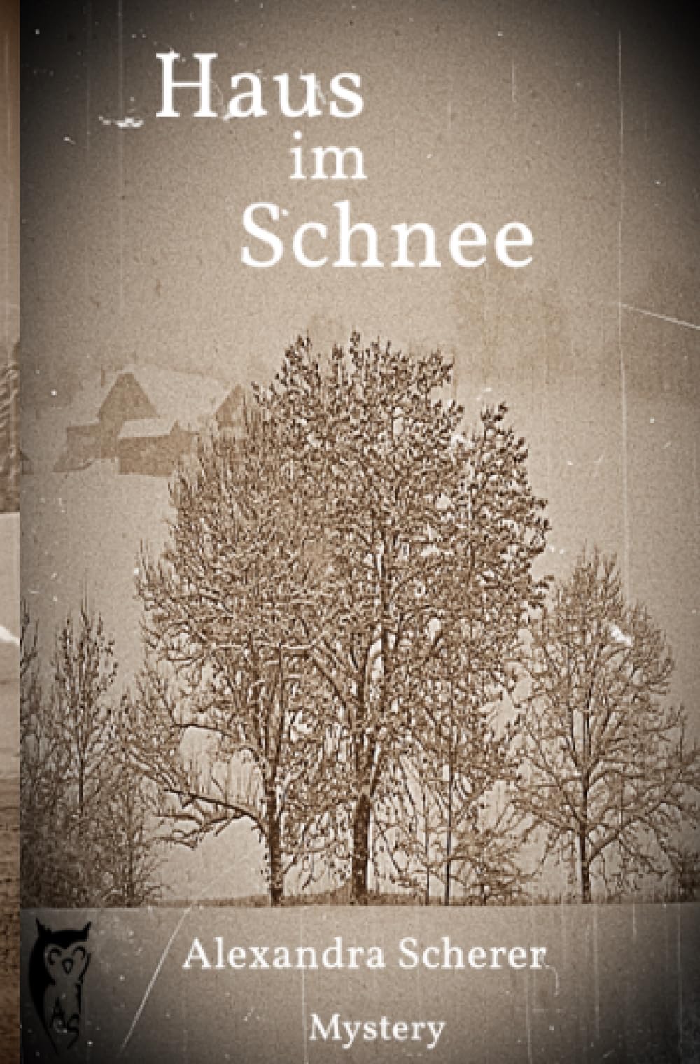 Haus im Schnee (Kathy O'Banion Mystery) Horror & Mystery