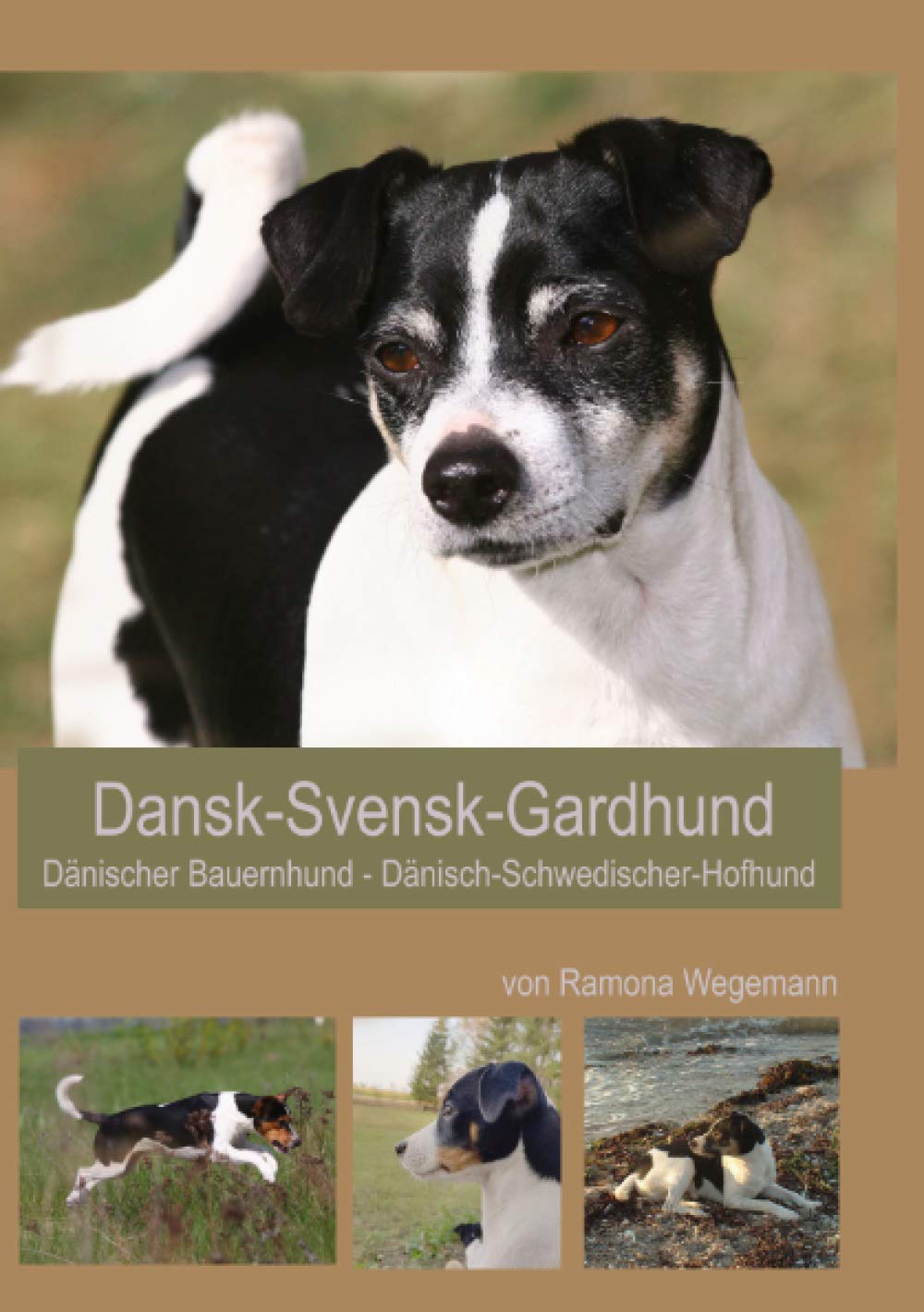 Dansk-Svensk-Gardhund - Dänisch-Schwedischer-Hofhund - Dansk-Svensk-Farmdog - Dänischer Bauernhund: unkomplizierter Wegbegleiter und pflegeleichte Hunderasse Pets