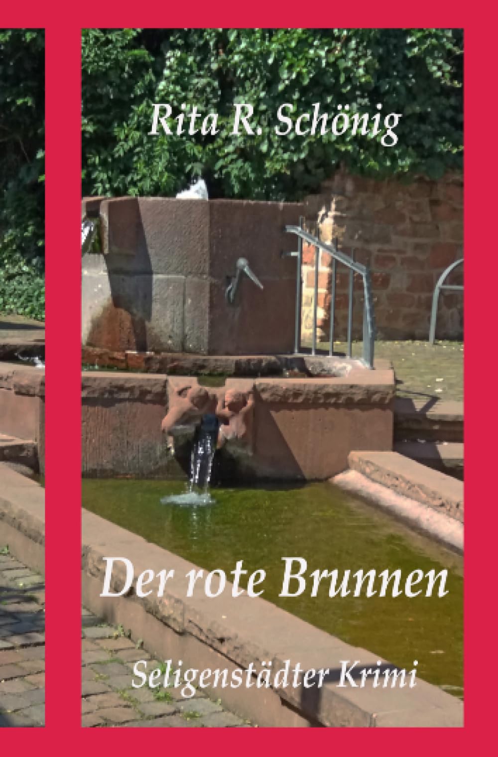 Der rote Brunnen: Seligenstädter Krimi Contemporary literature