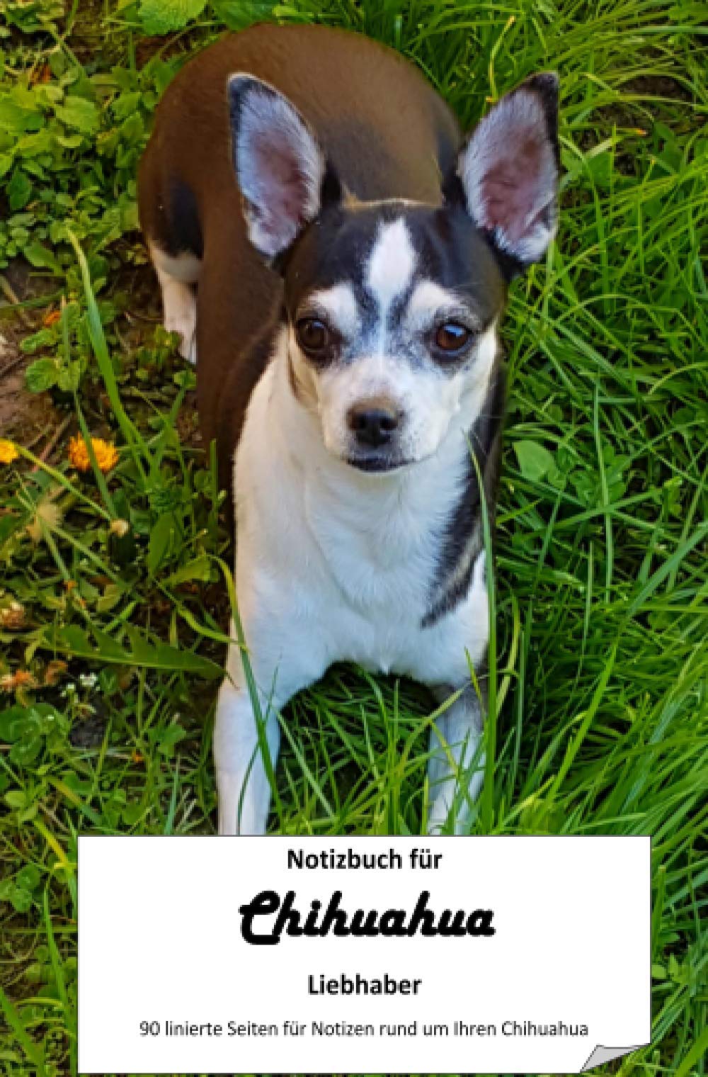 Notizbuch für Chihuahua Liebhaber General education