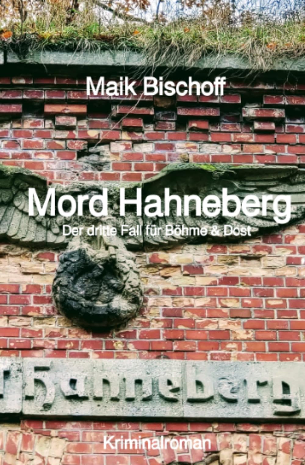 Mord Hahneberg: Der dritte Fall für Böhme & Dost book