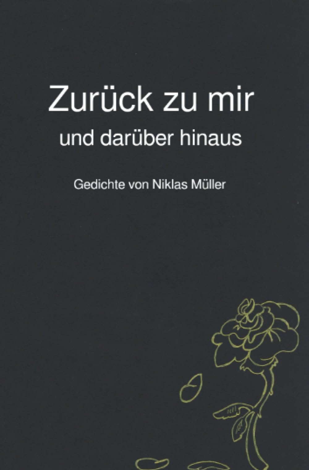 Zurück zu mir und darüber hinaus: Gedichte von Niklas Müller Poetry