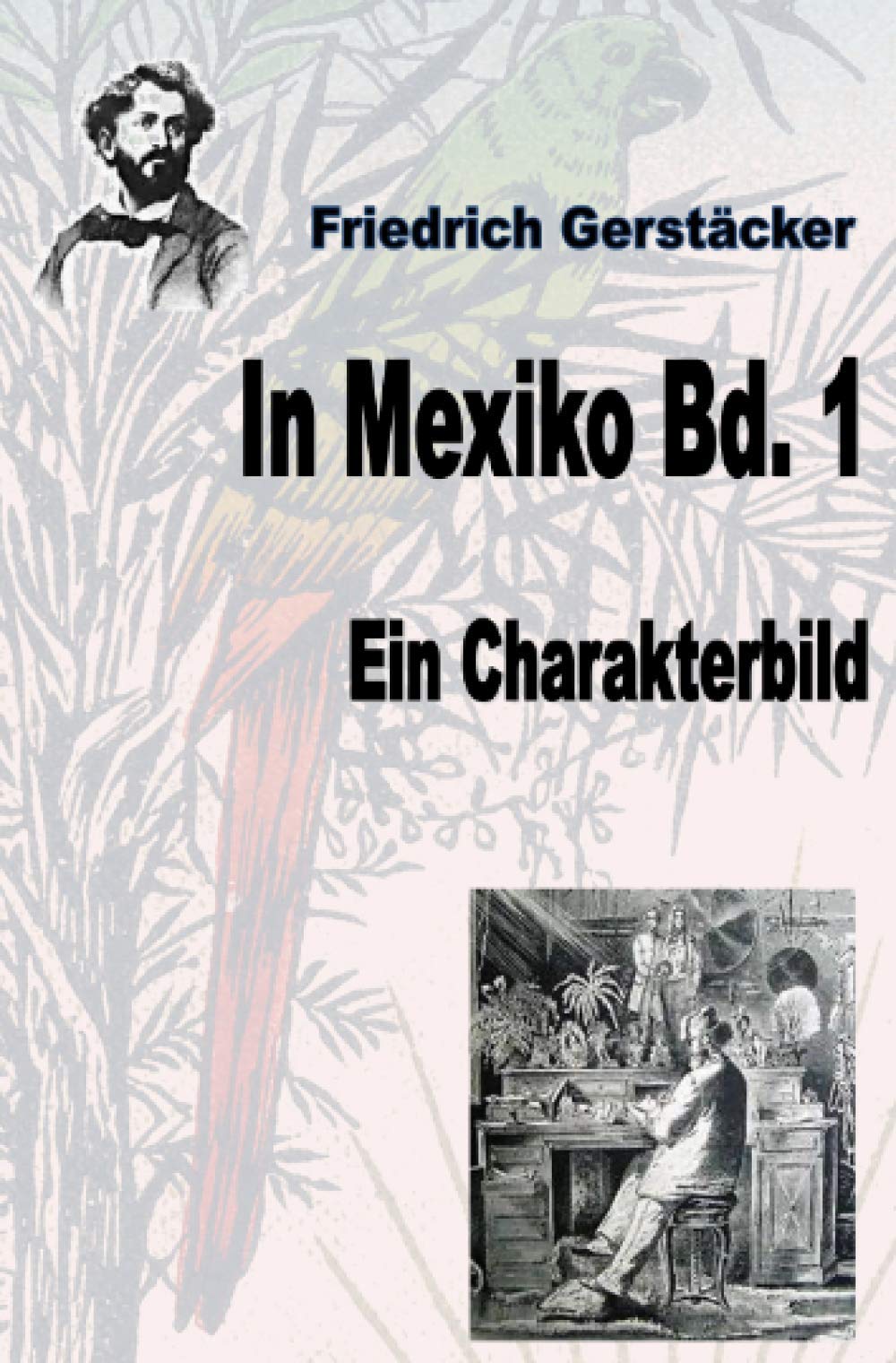 In Mexiko Bd. 1: Ein Charakterbild (Werkausgabe Friedrich Gerstäcker Ausgabe letzter Hand) Historical Fiction