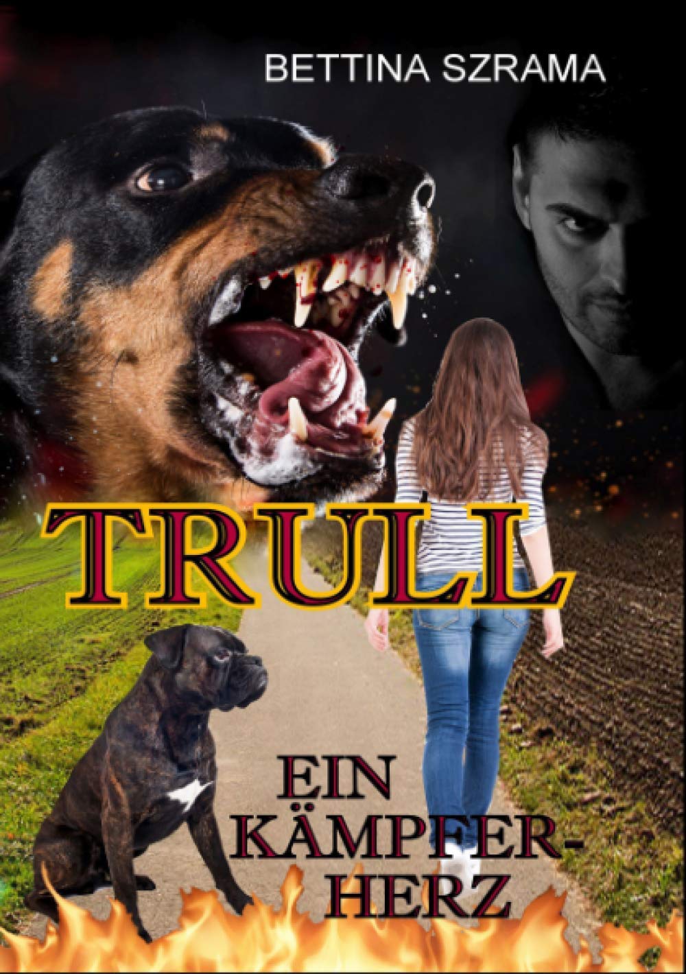 Trull ein Kämpferherz Contemporary literature