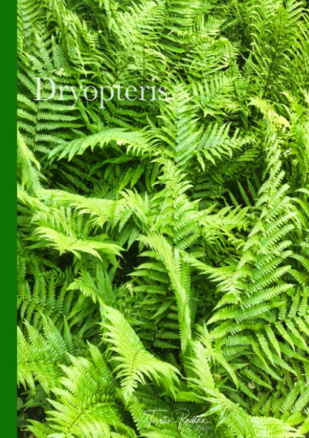 Dryopteris: Notizbuch & Bullet Journal A5, Softcover: Notizbuch & Bullet Journal A5, Softcover (Plant Spirits) Living & Furnishing