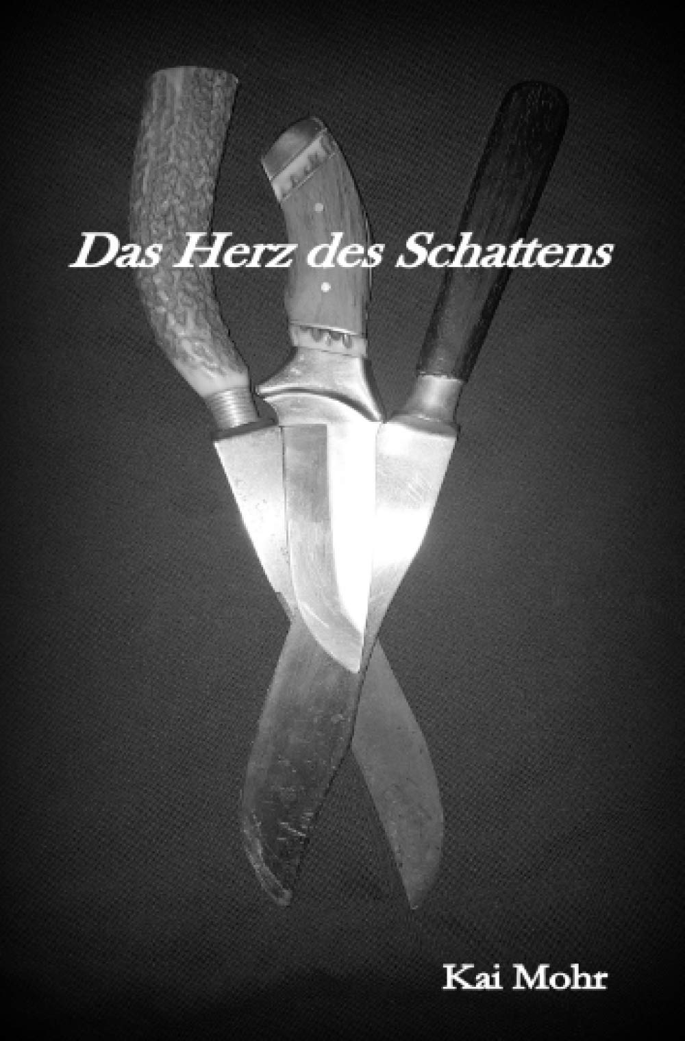 Die letzten Jahre der Magier - Das Herz des Schattens Contemporary literature
