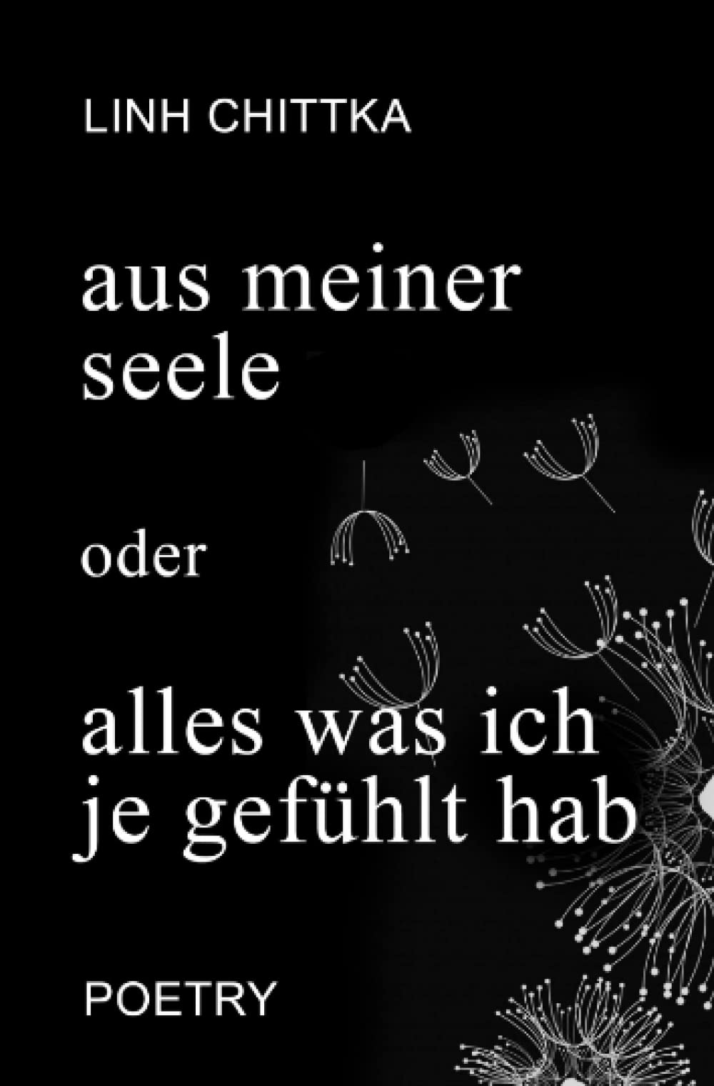 aus meiner seele oder alles was ich je gefühlt hab Poetry