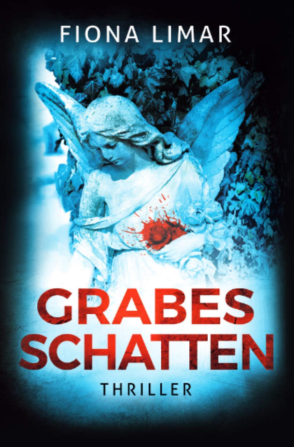Product Image: Grabesschatten (Brandenburg-Krimis)