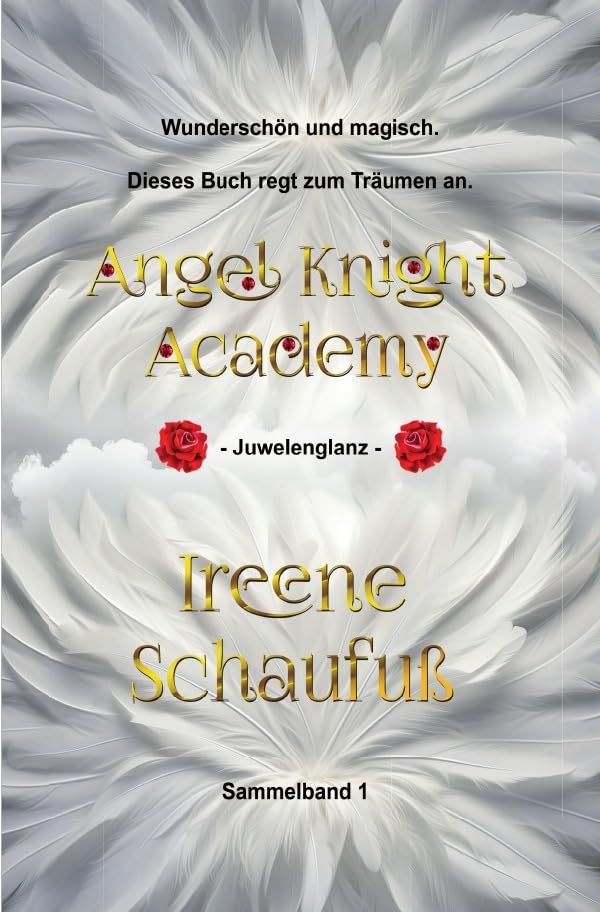 Angel Knight Academy 1 Juwelenglanz: (2.Auflage) Contemporary literature