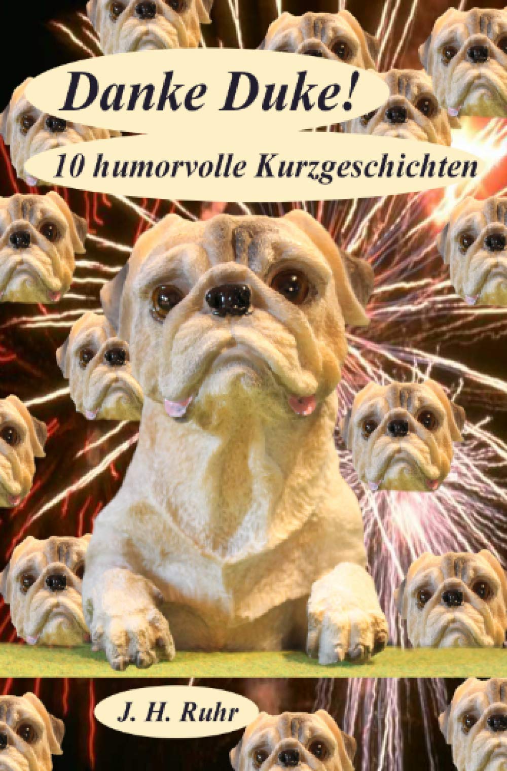Danke Duke!: 10 humorvolle Kurzgeschichten Essays & Short Stories