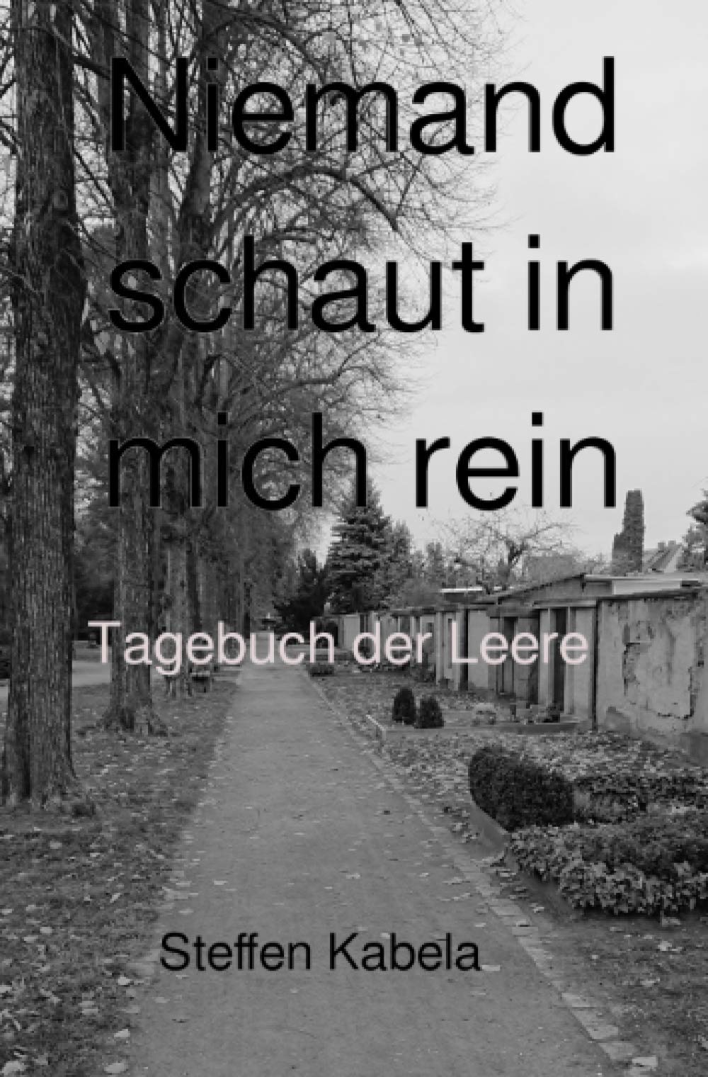 Niemand schaut in mich rein: Tagebuch der Leere (Warum hat mich das Glück vergessen) Personalities