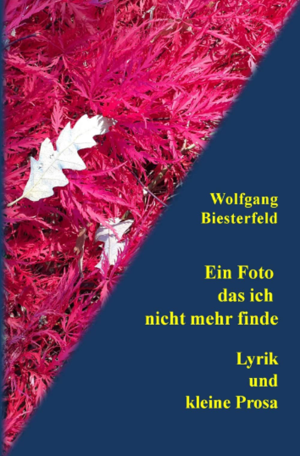 Ein Foto das ich nicht mehr finde: Lyrik und kleine Prosa Poetry