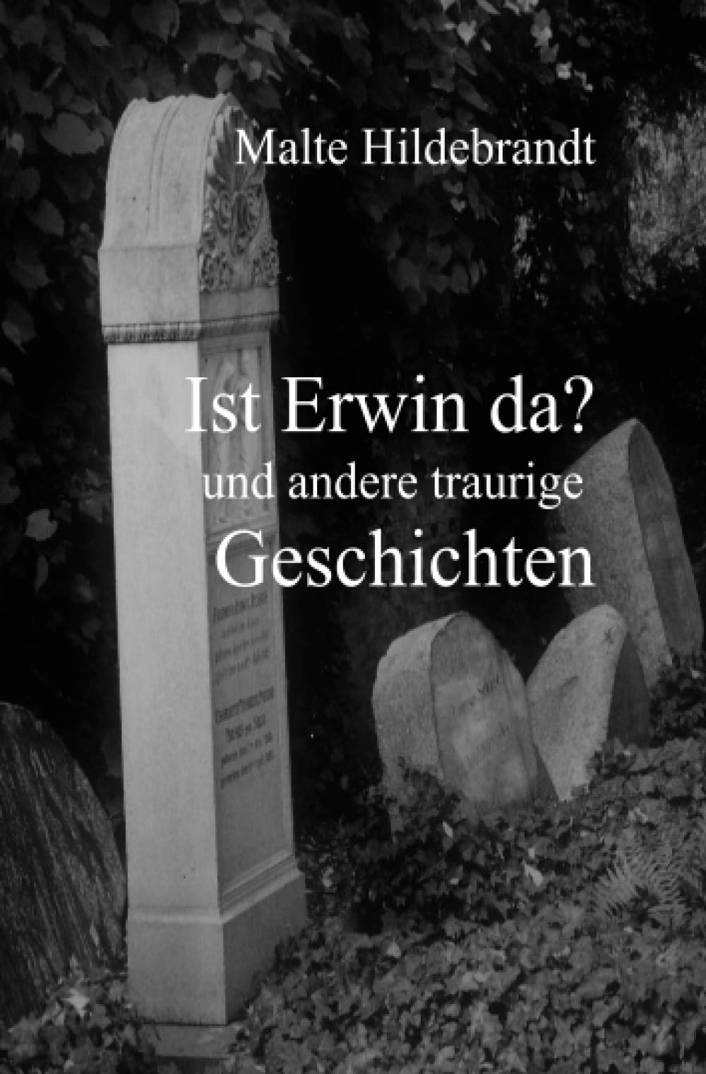 Ist Erwin da? und andere traurige Geschichten Contemporary literature