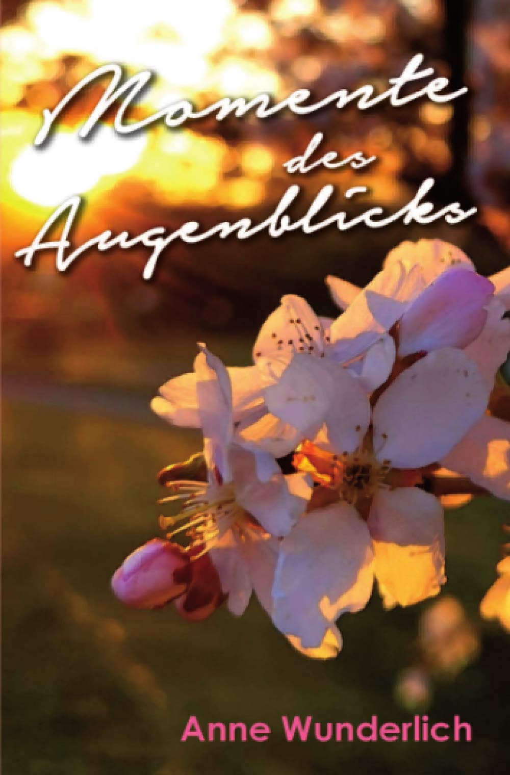 Momente des Augenblicks Poetry