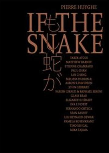 Pierre Huyghe If the Snake Film, Art & Culture