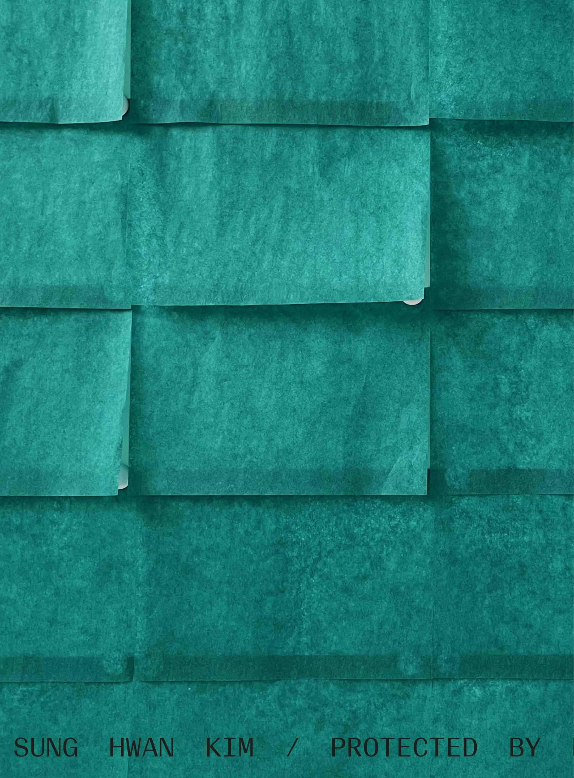 Sung Hwan Kim. Protected by roof and right hand muscles Film, Art & Culture