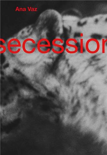Product Image: Ana Vaz Secession