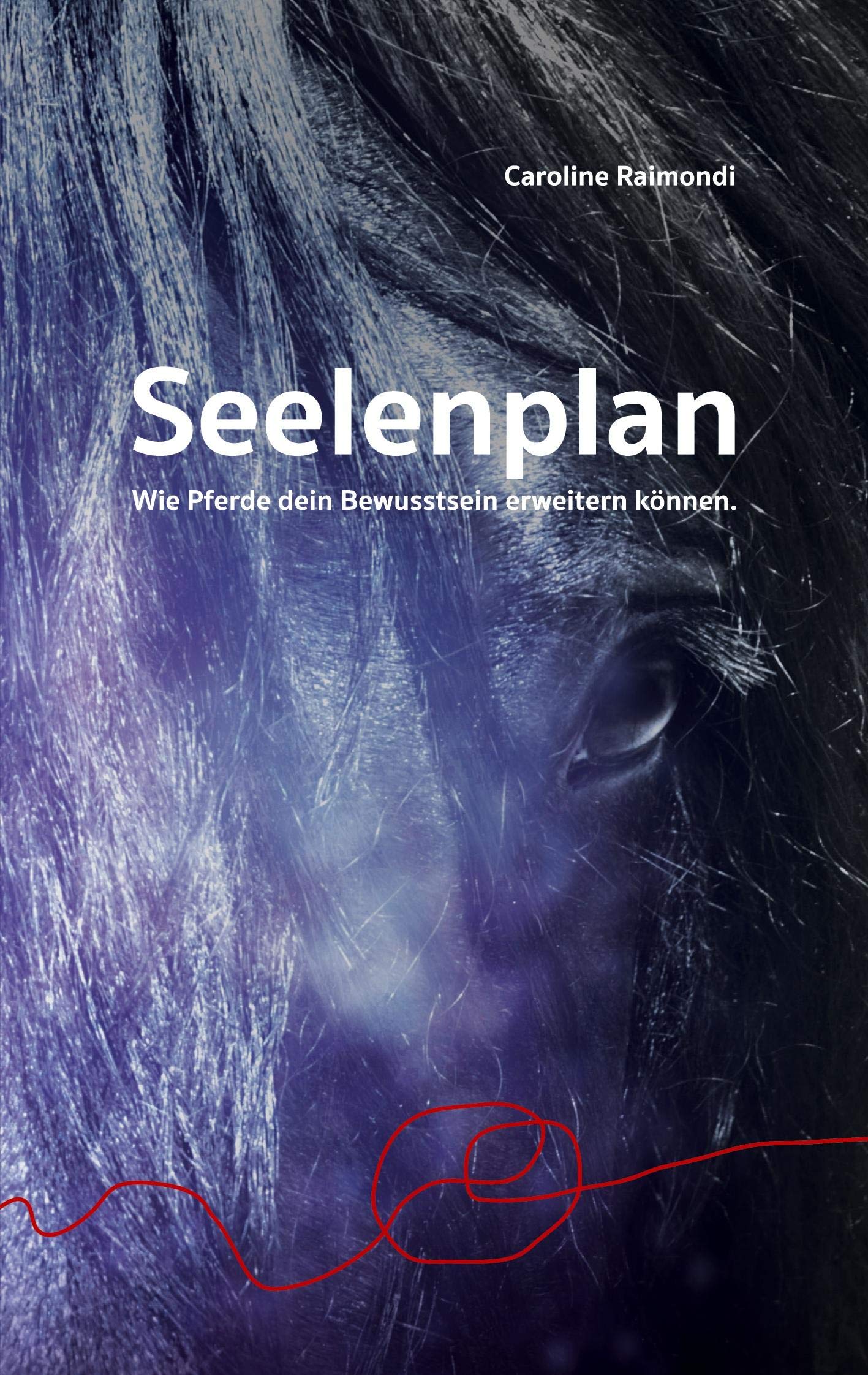 Seelenplan: Wie Pferde dein Bewusstsein erweitern können. Lifestyle