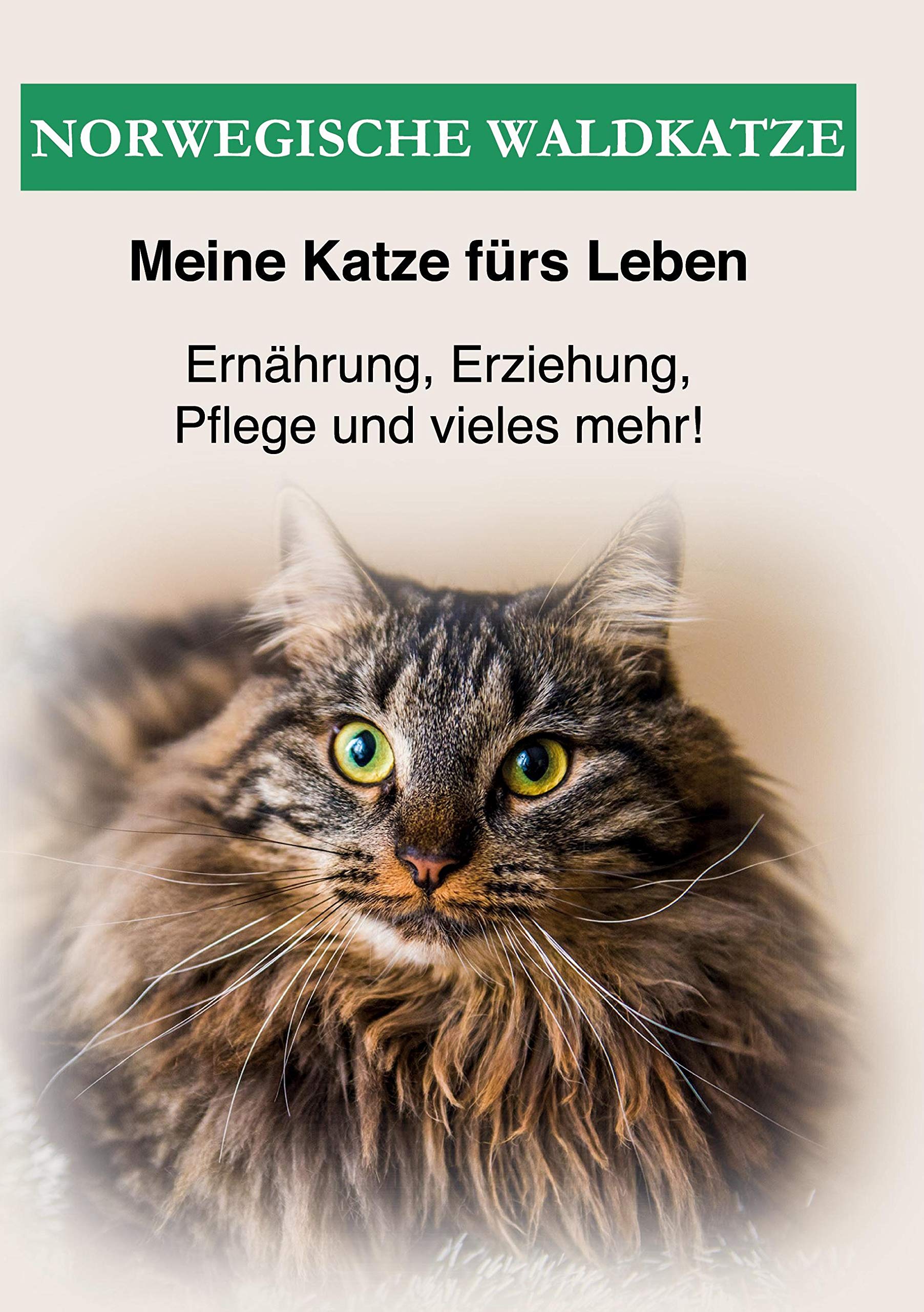 Norwegische Waldkatze: Ernährung, Erziehung, Pflege und vieles mehr über die Norwegische Waldkatze! Pets