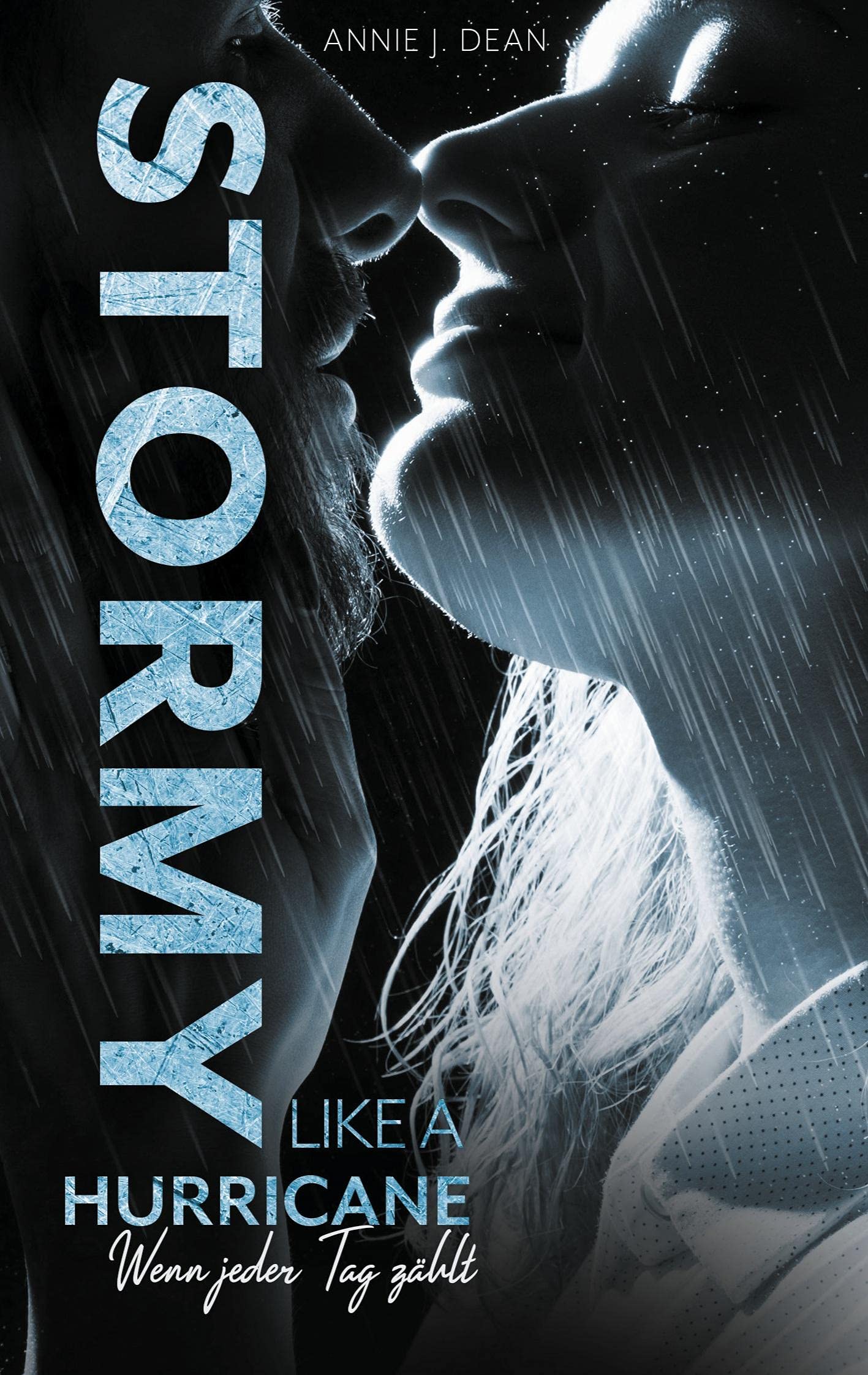 Stormy Like A Hurricane: Wenn jeder Tag zählt Contemporary literature