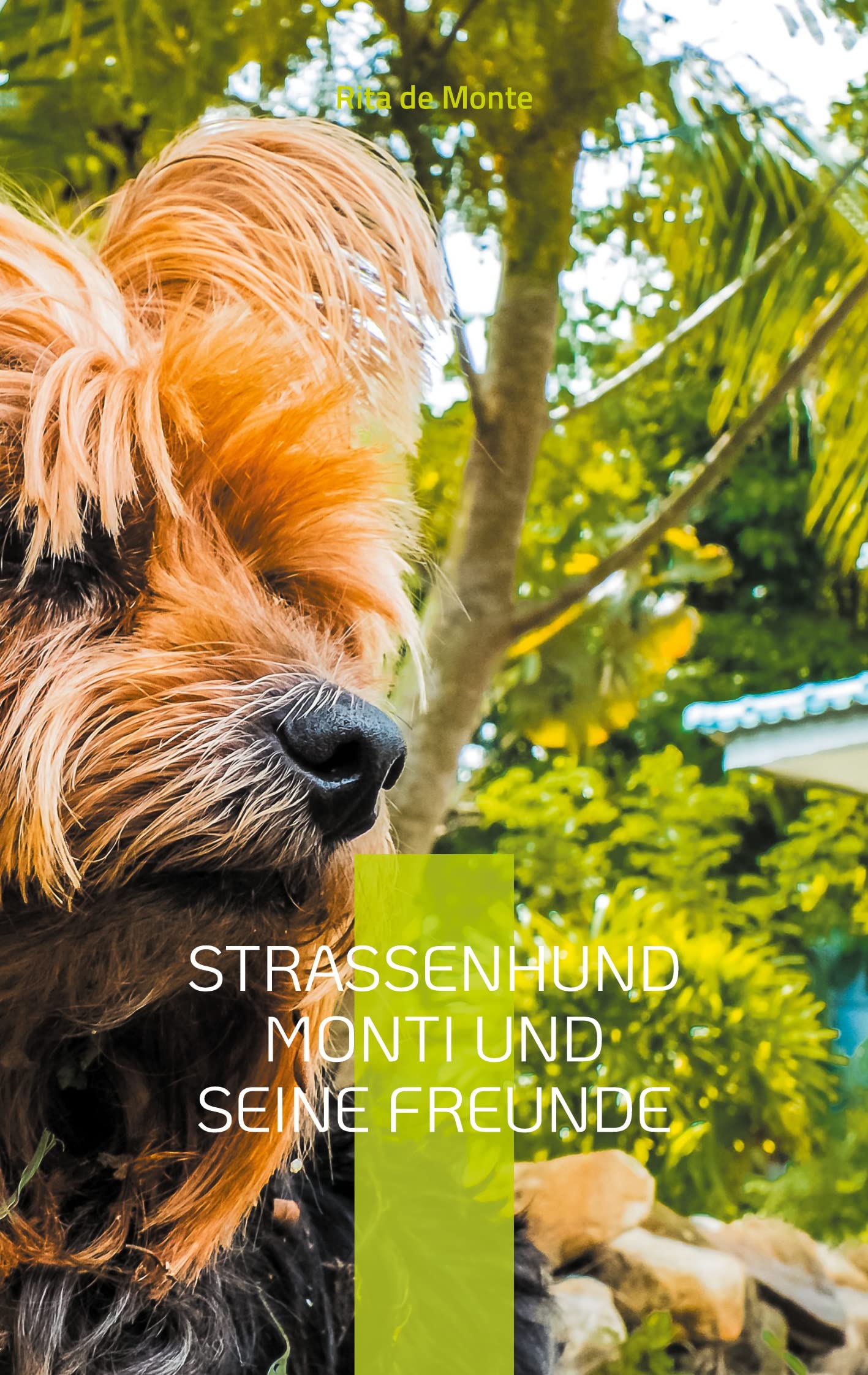 Straßenhund Monti und seine Freunde Essays & Short Stories