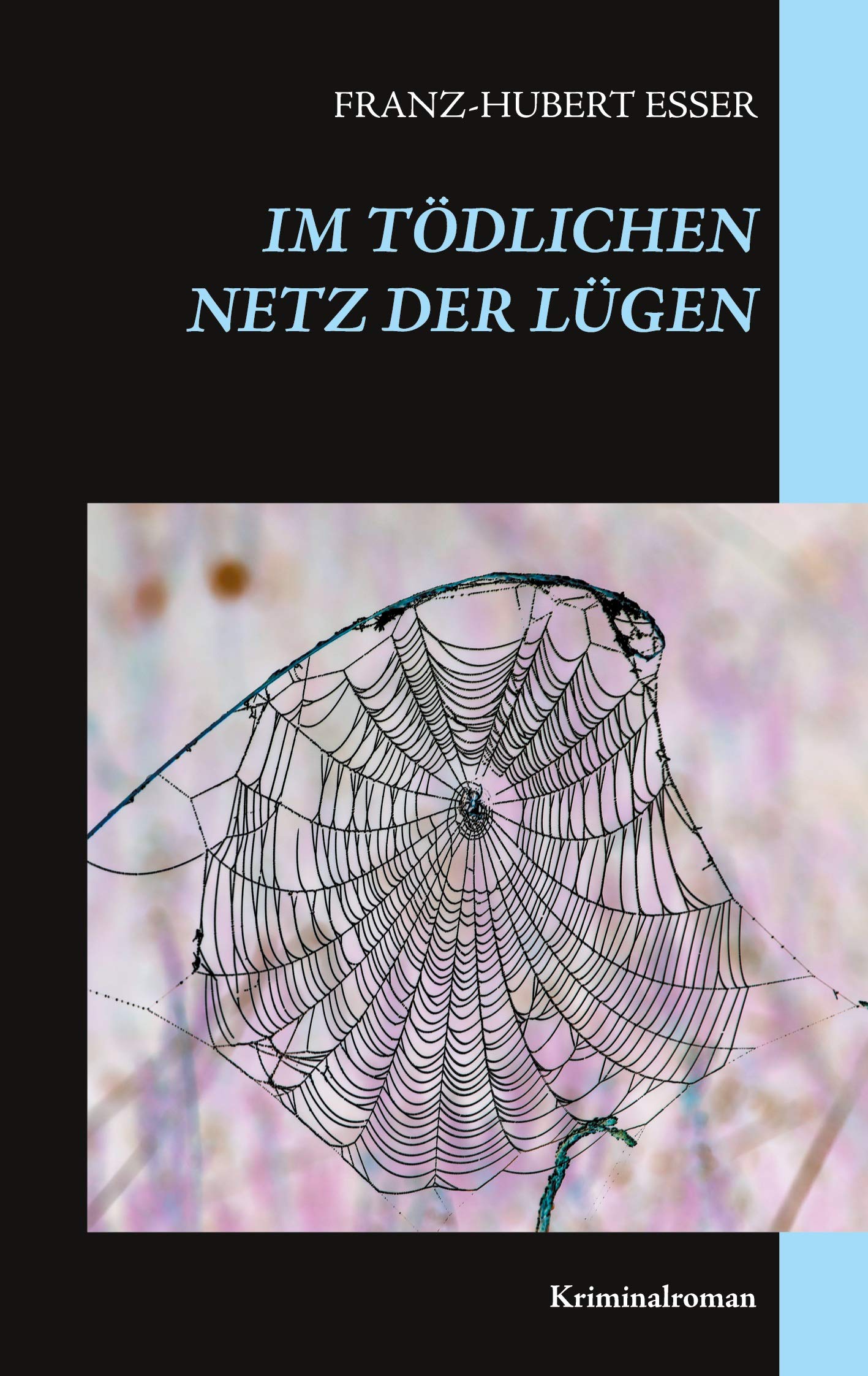 Im tödlichen Netz der Lügen book