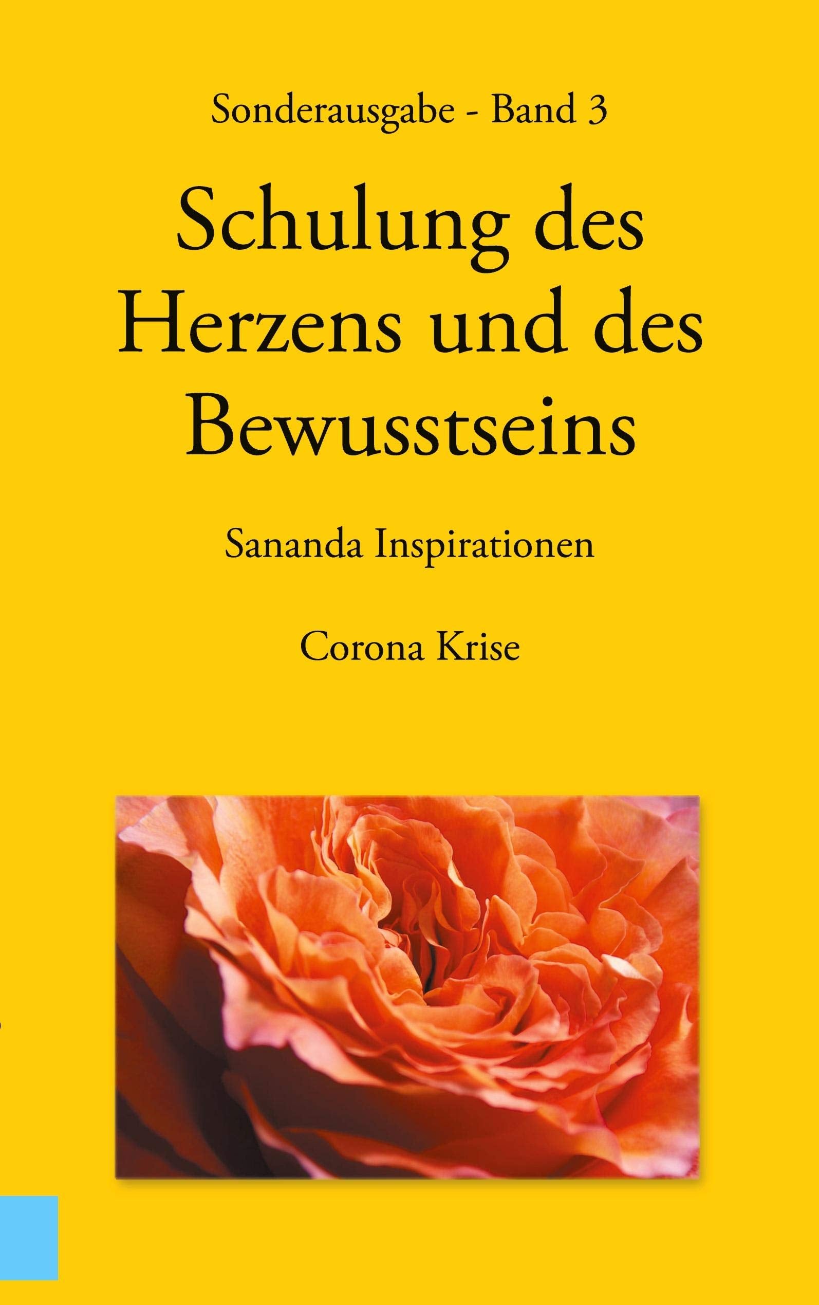 Sonderausgabe - Schulung des Herzens und des Bewusstseins - Sananda Inspirationen Death & Mourning