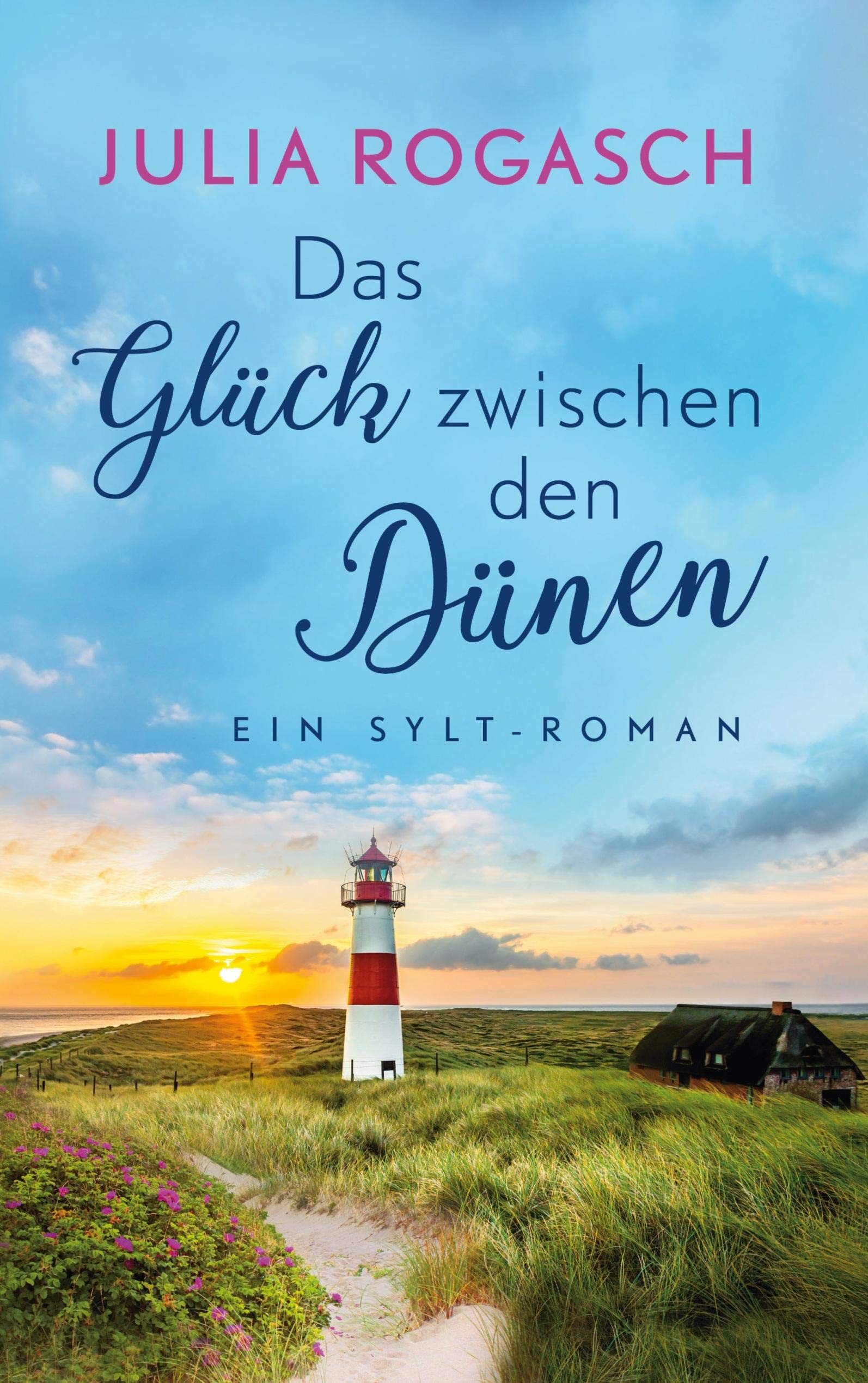 Das Glück zwischen den Dünen Contemporary literature
