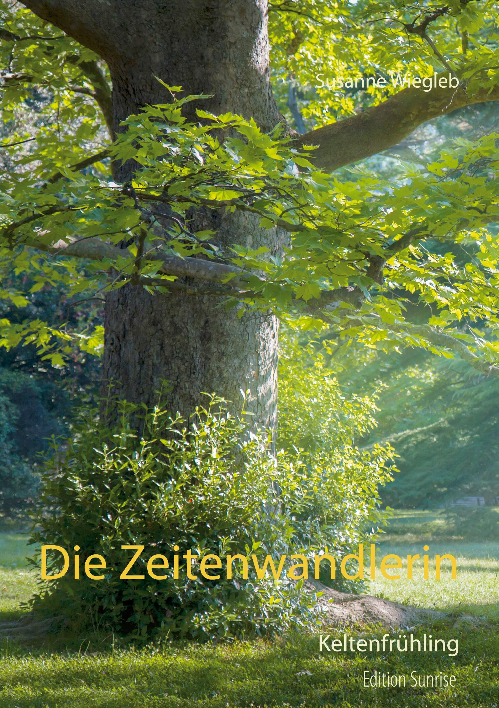 Die Zeitenwandlerin Historical Fiction