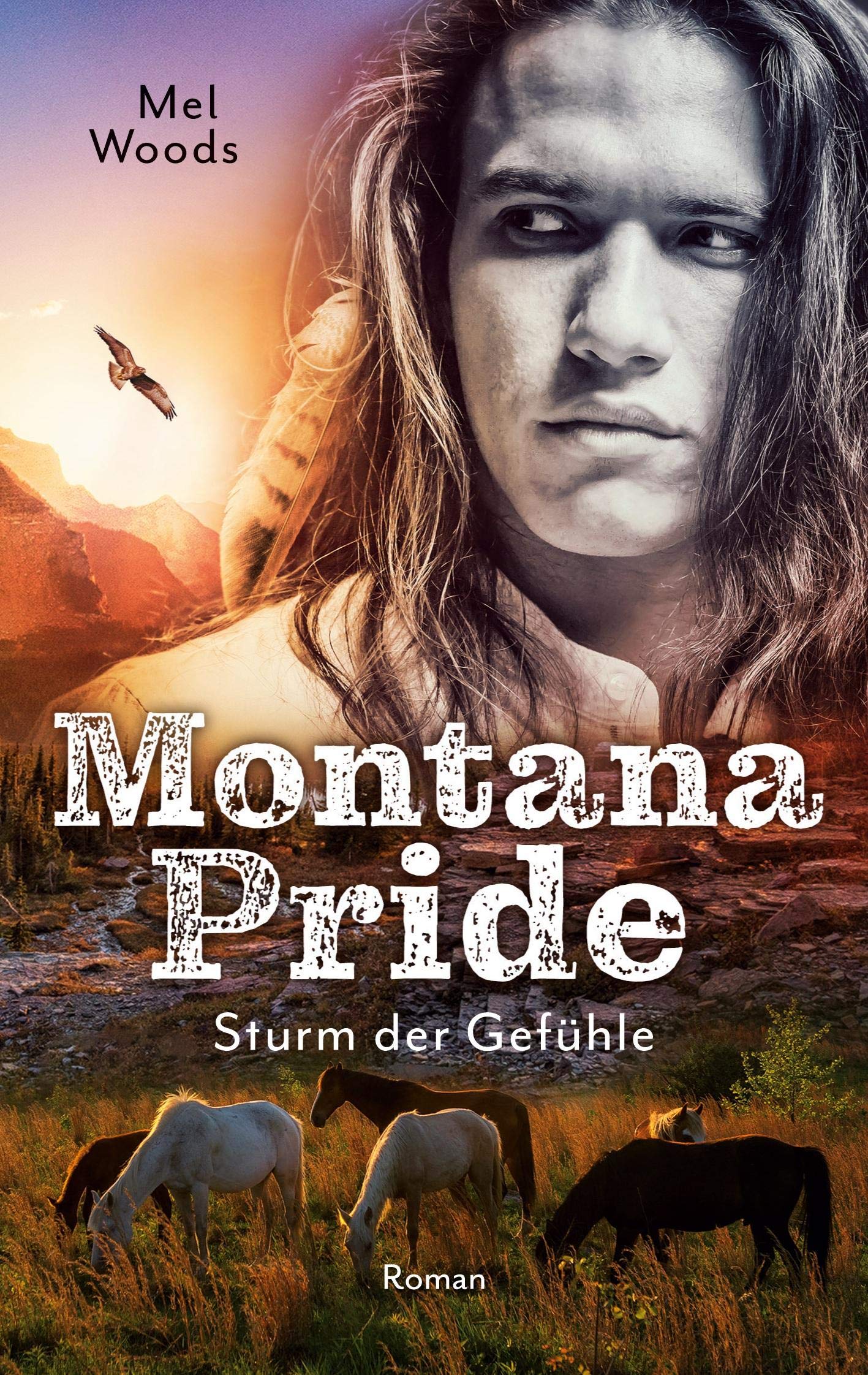 Montana Pride: Sturm der Gefühle Contemporary literature