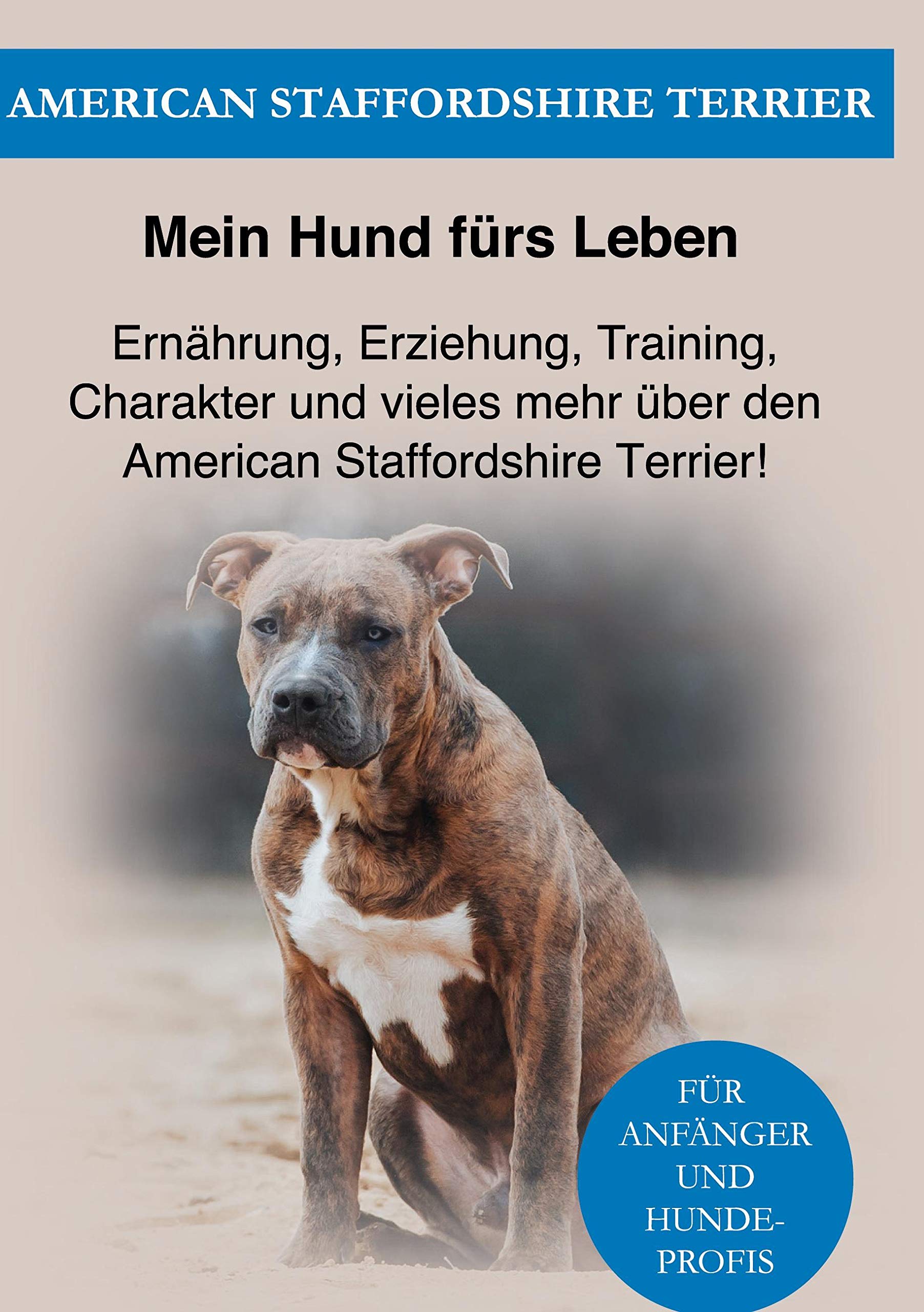 Amstaff: Ernährung, Erziehung, Pflege, Training und vieles mehr über den American Staffordshire Terrier! Pets