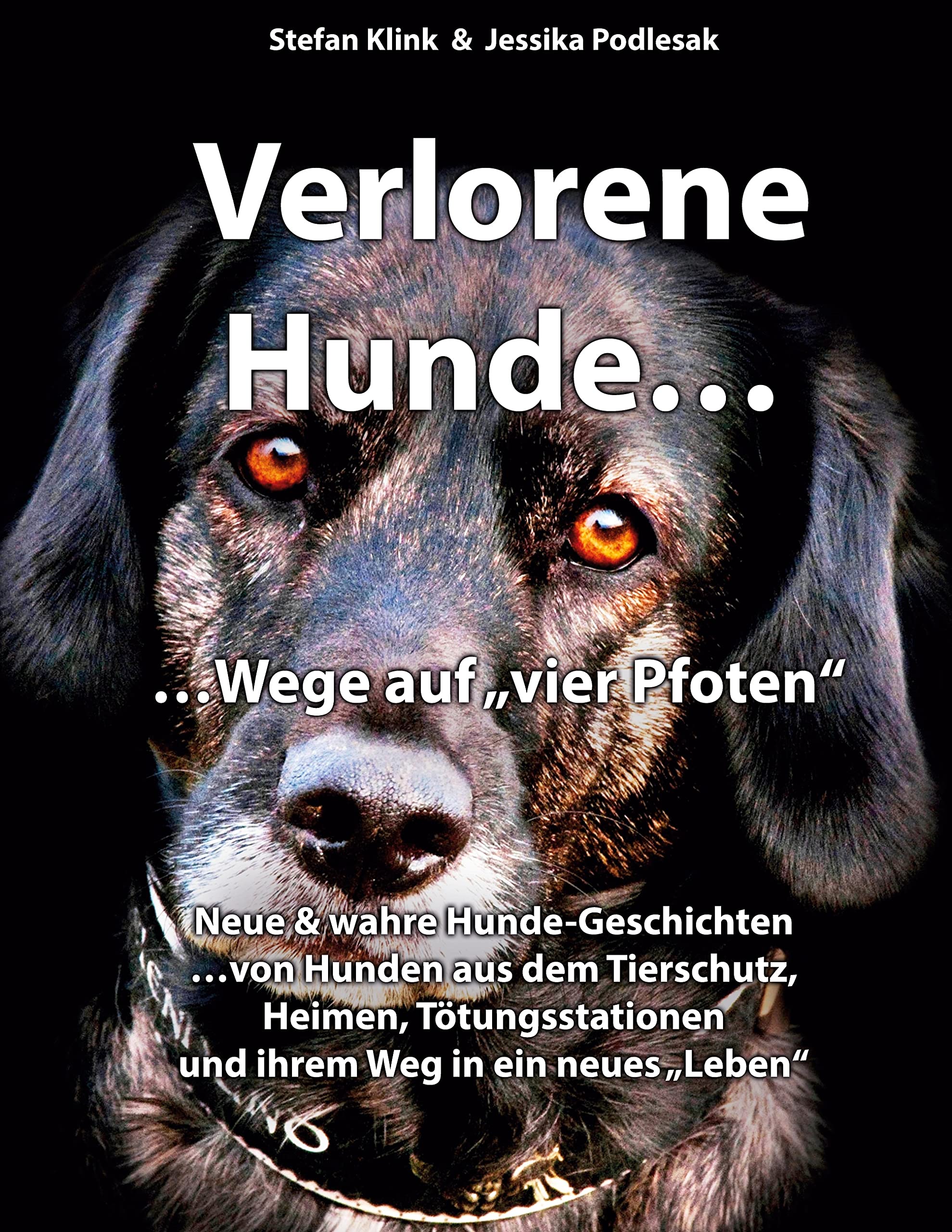 Vergessene Hunde...Wege auf vier Pfoten (Hund mit Streifen) Architecture