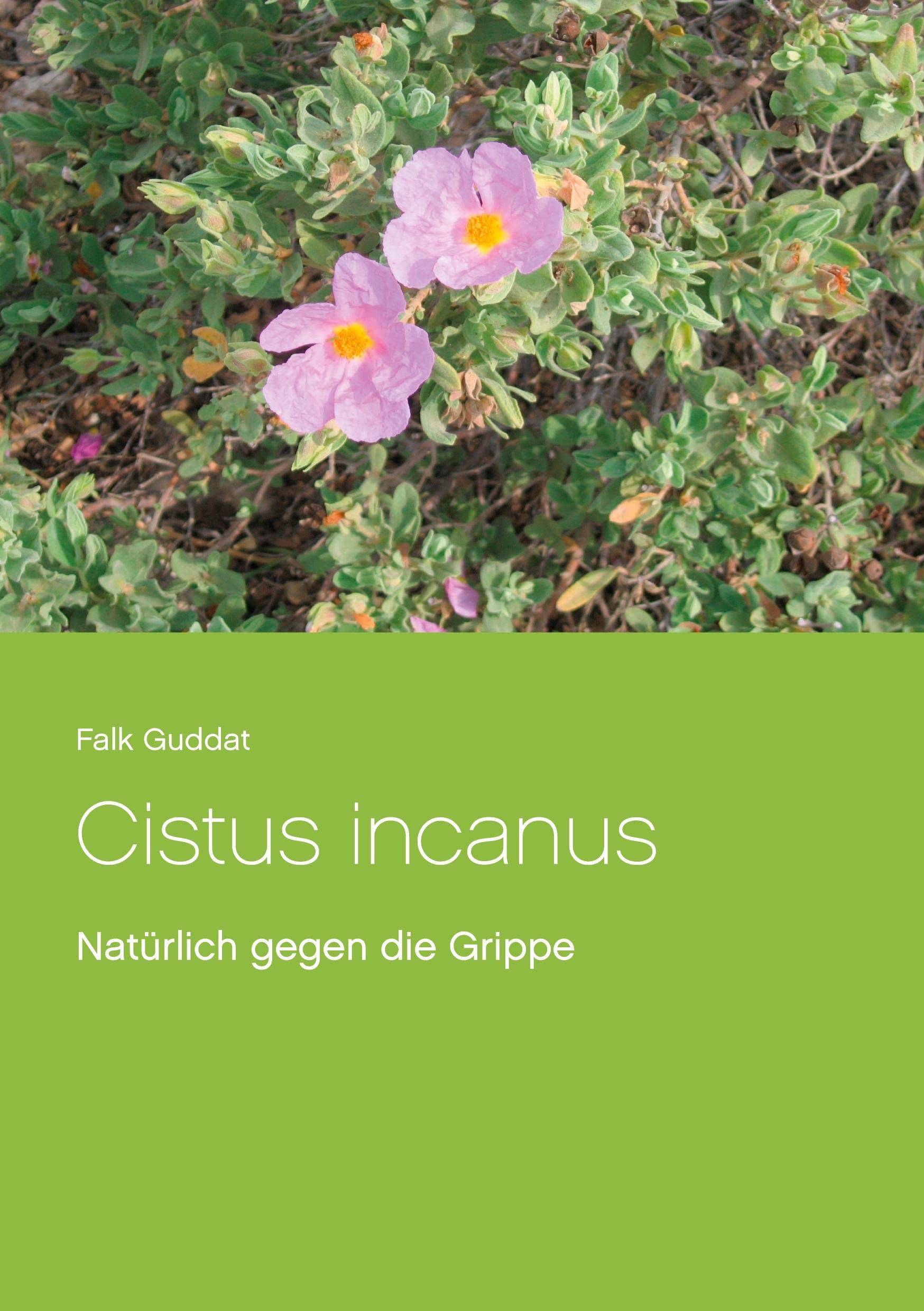 Cistus incanus: Natürlich gegen die Grippe Health, Nutrition & Fitness