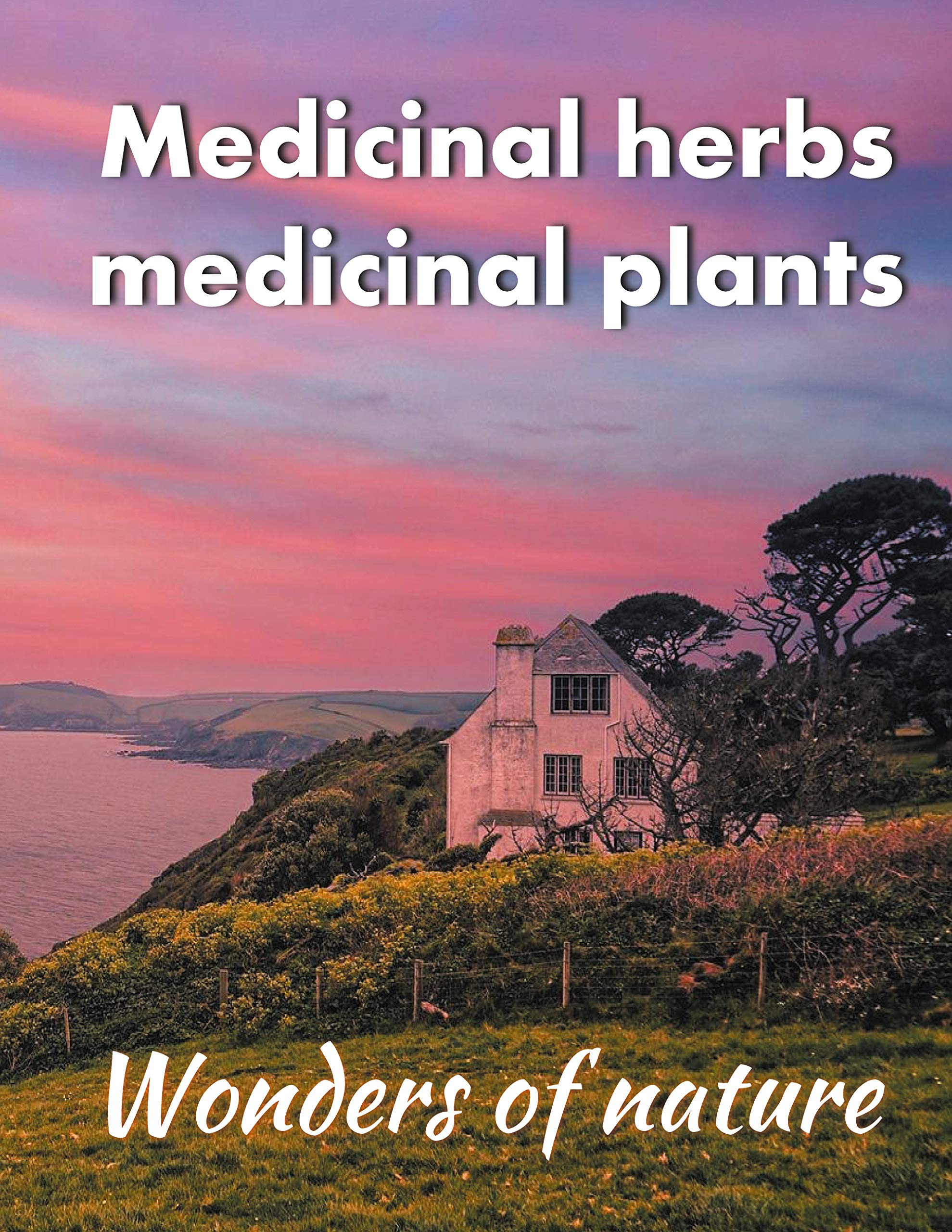 Medicinal herbs / medicinal plants: Wonders of nature Mathematics