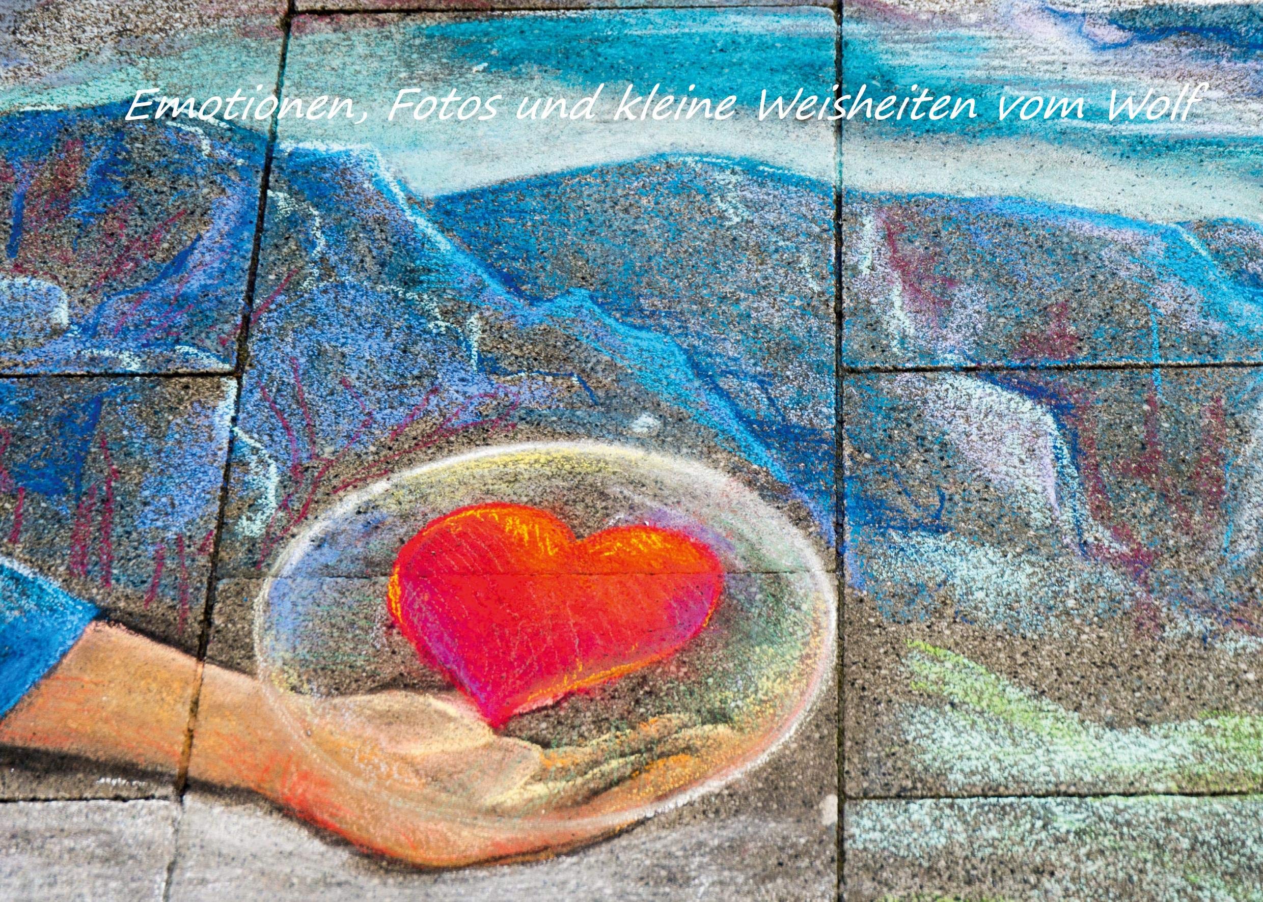 Emotionen, Fotos und kleine Weisheiten vom Wolf Poetry