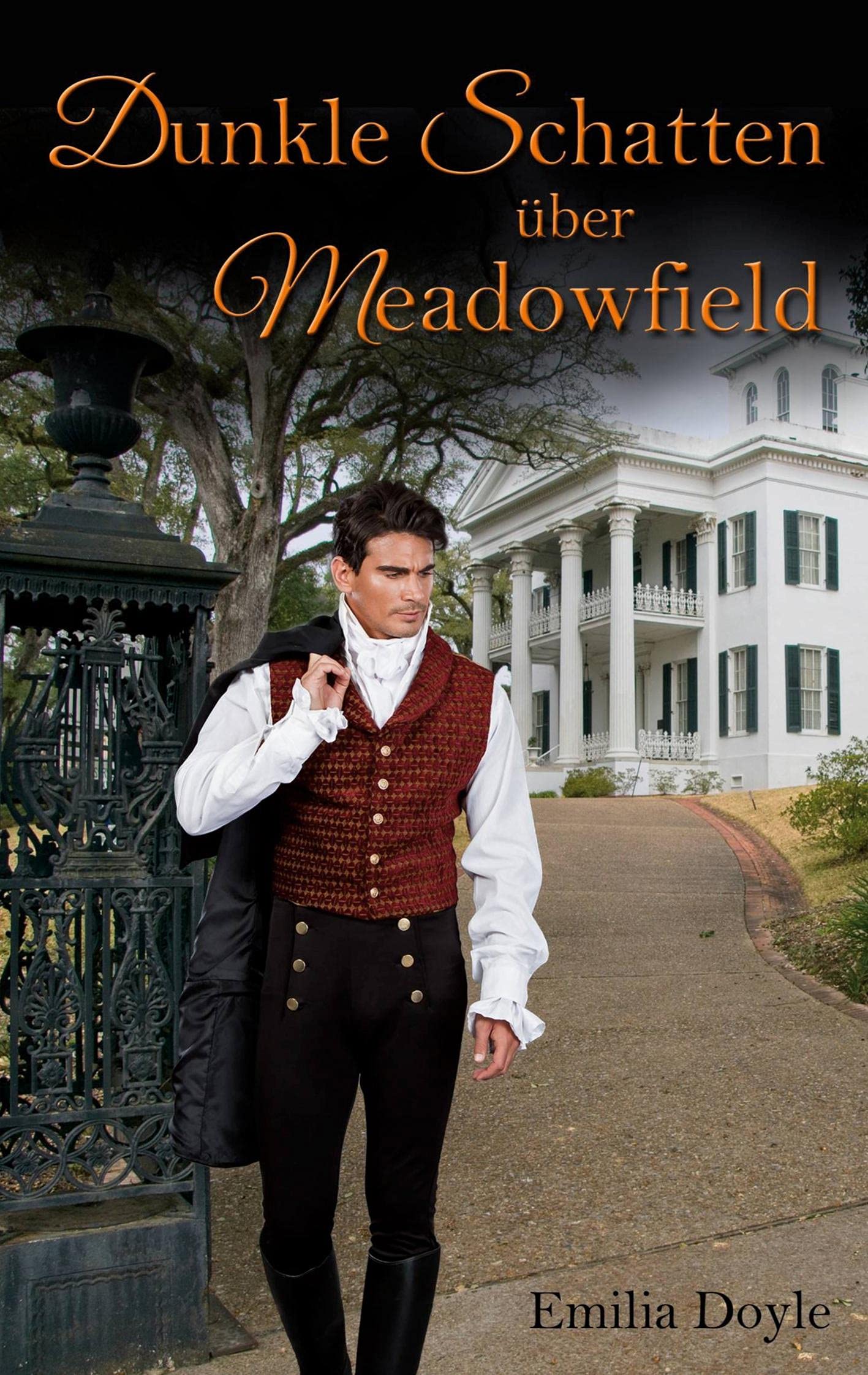 Dunkle Schatten über Meadowfield Historical Fiction