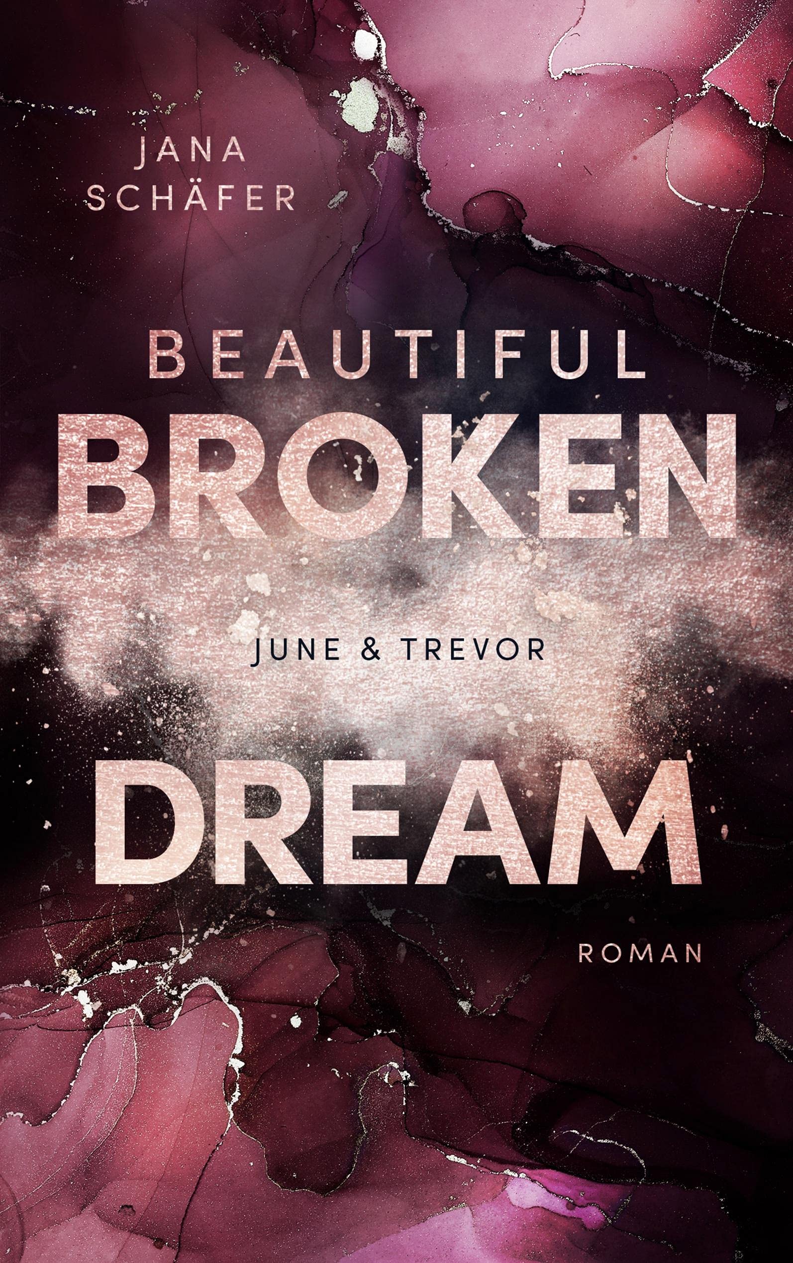 Beautiful Broken Dream Contemporary literature Books