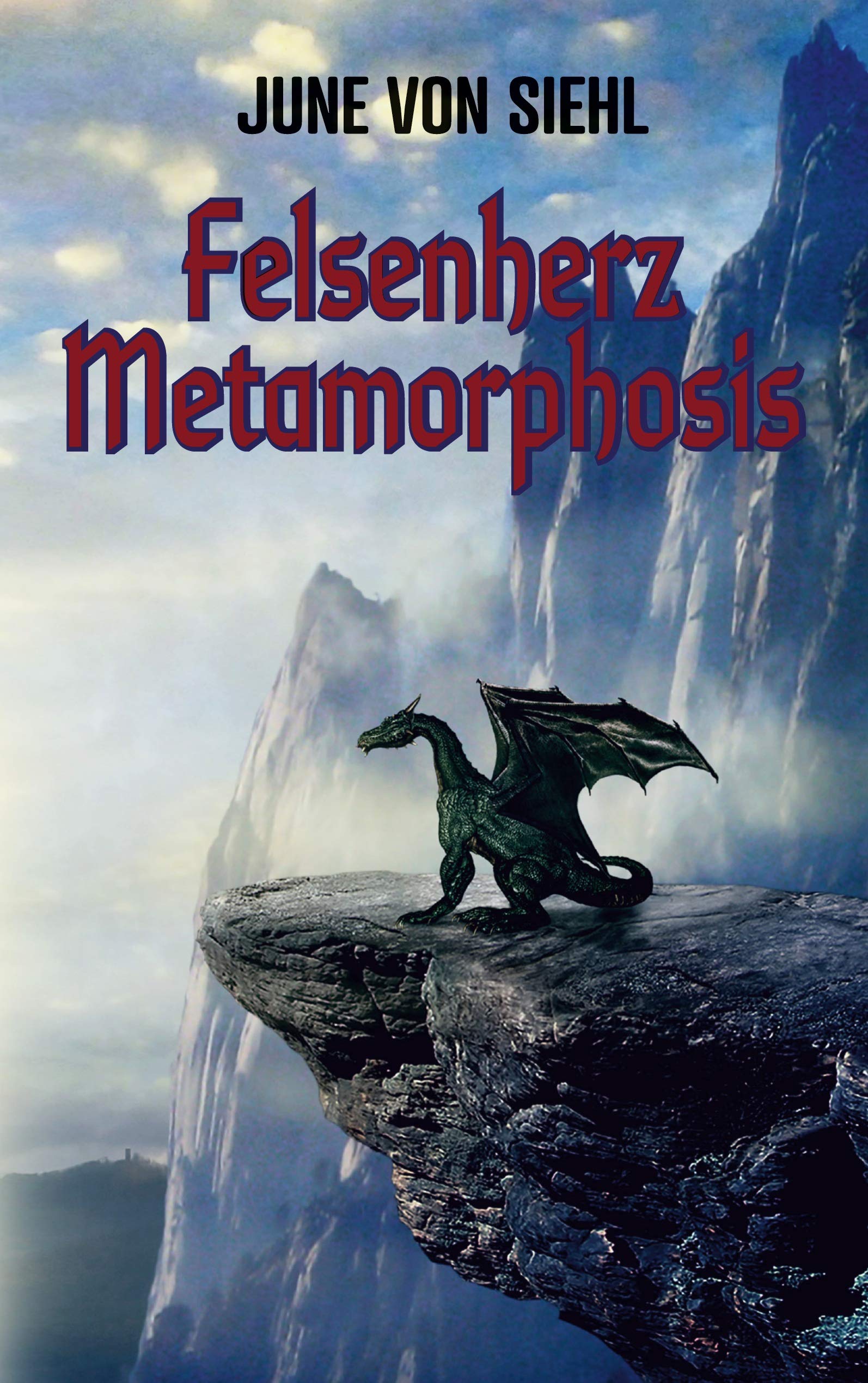 Felsenherz Metamorphosis Historical Fiction