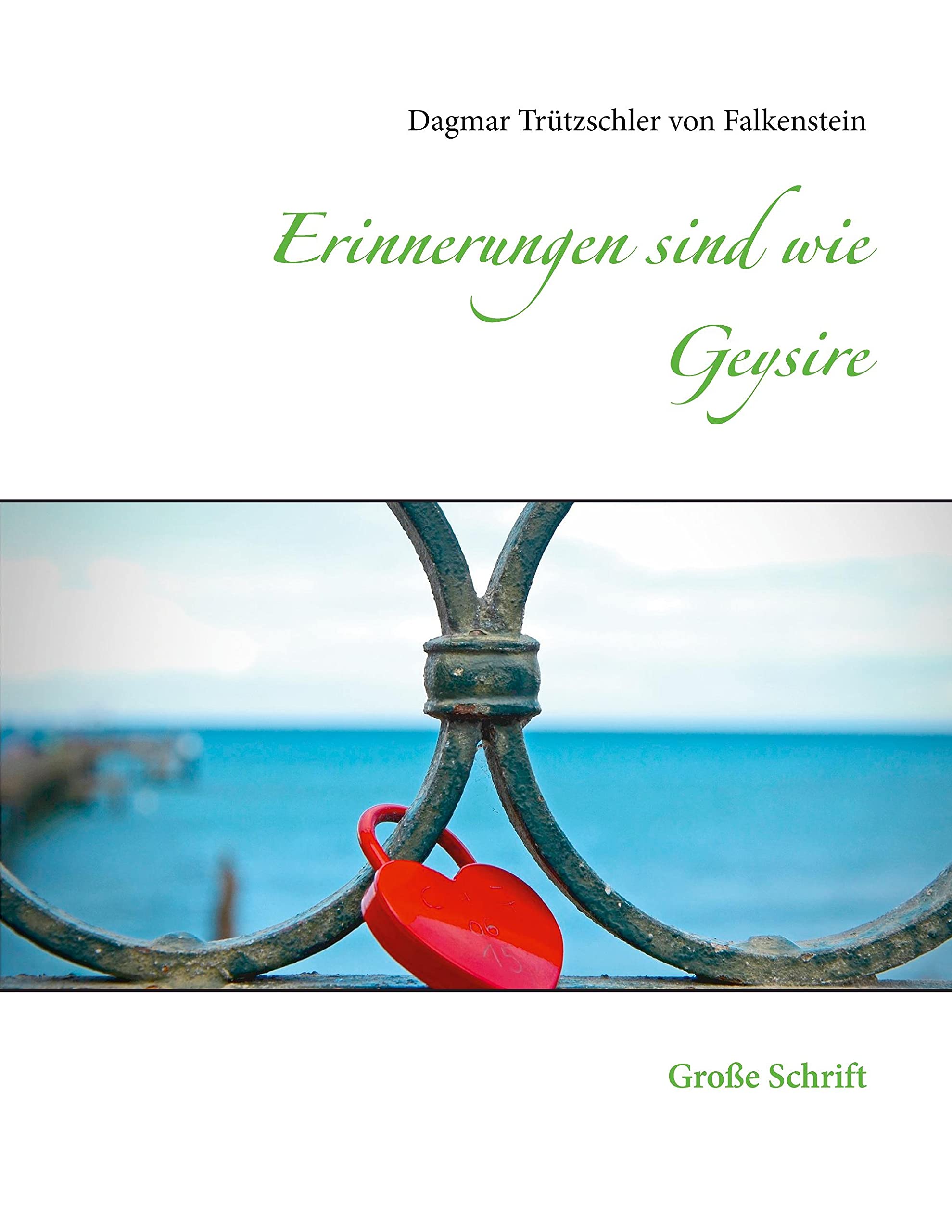 Erinnerungen sind wie Geysire: Große Schrift Contemporary literature