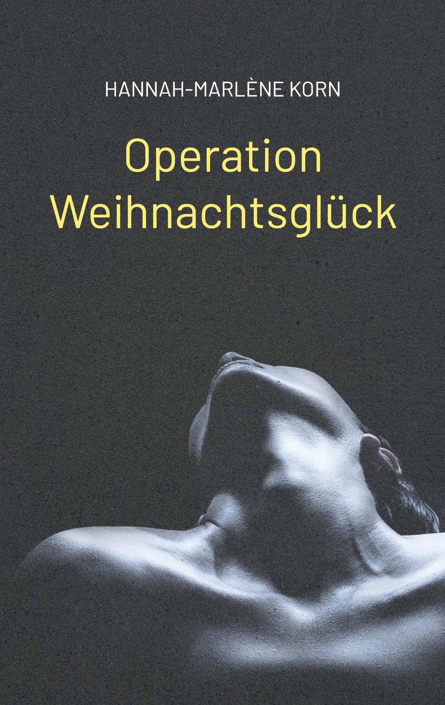 Operation Weihnachtsglück: (M)ein BDSM-Erwachen Contemporary literature