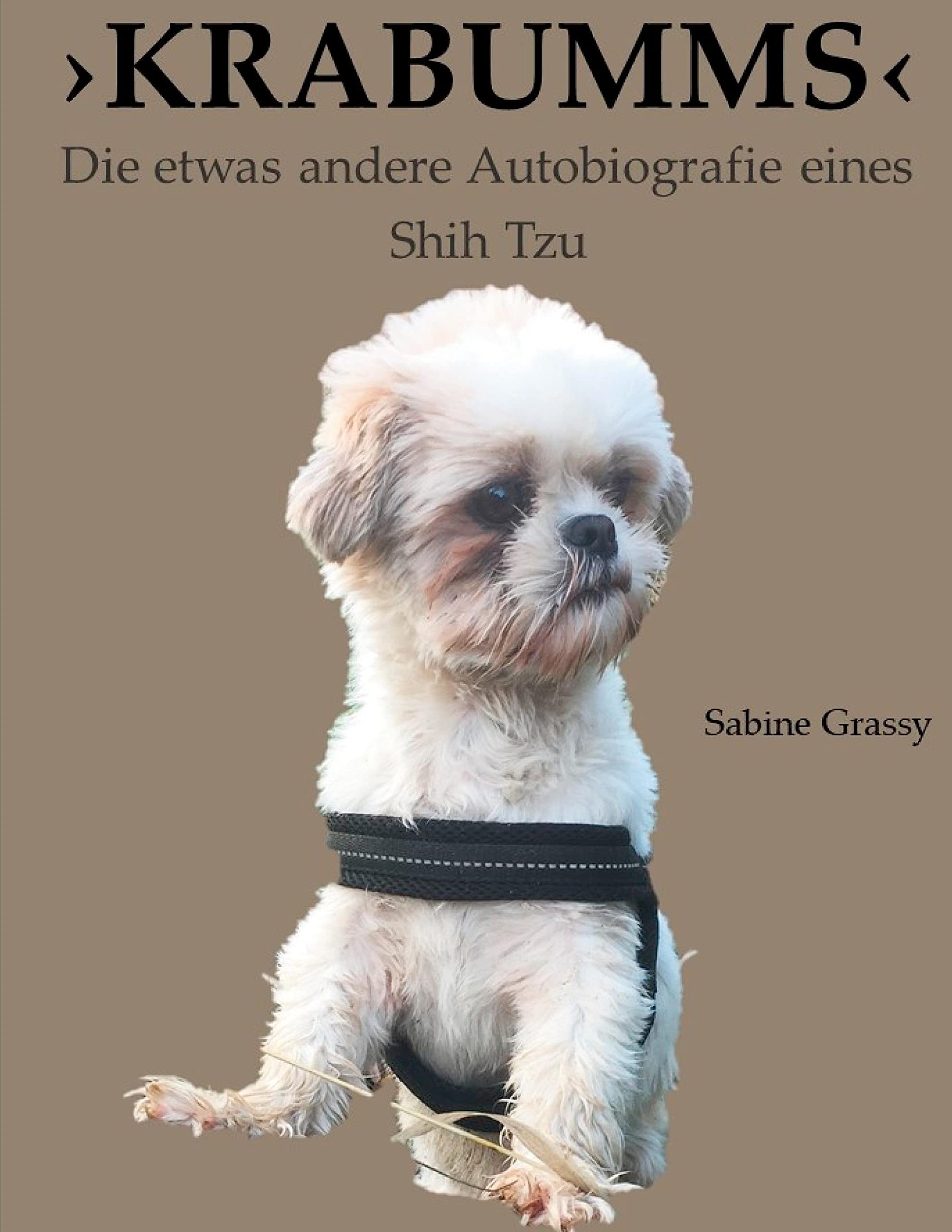 KRABUMMS Contemporary literature Books