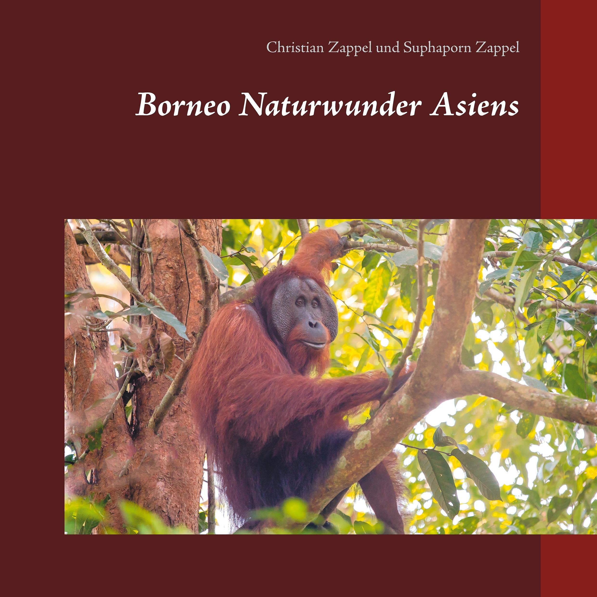 Borneo Naturwunder Asiens Architecture