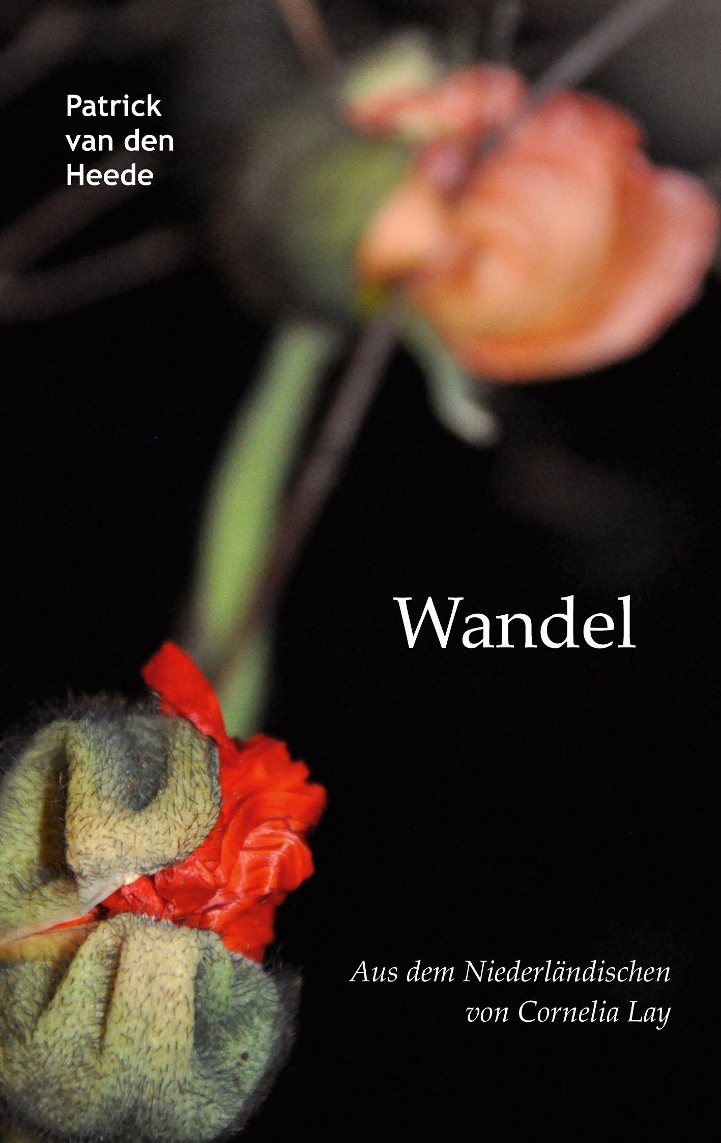 Wandel: aus dem Niederländischen von Cornelia Lay Religion & Esotericism