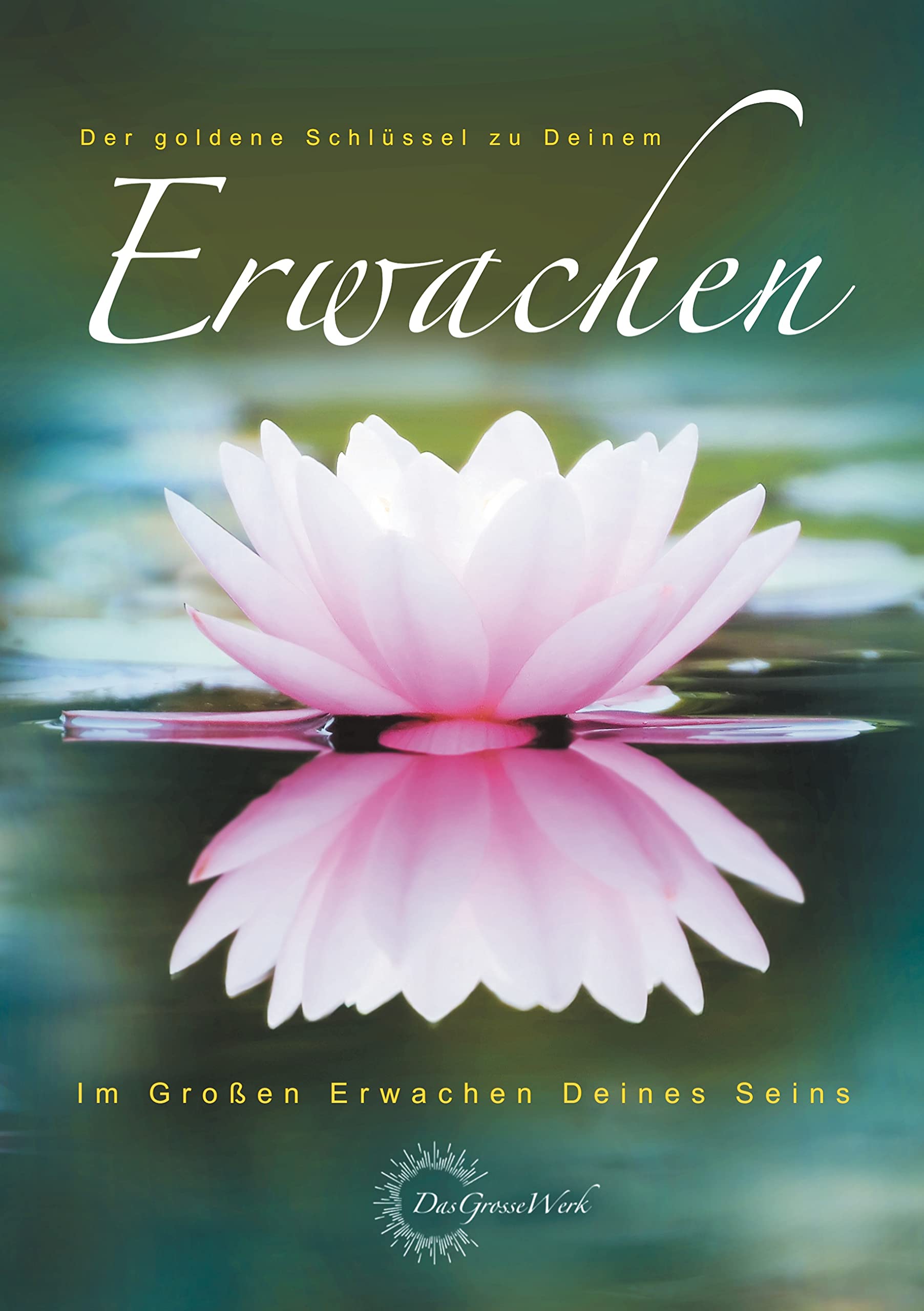 Der goldene Schlüssel zu Deinem Erwachen book