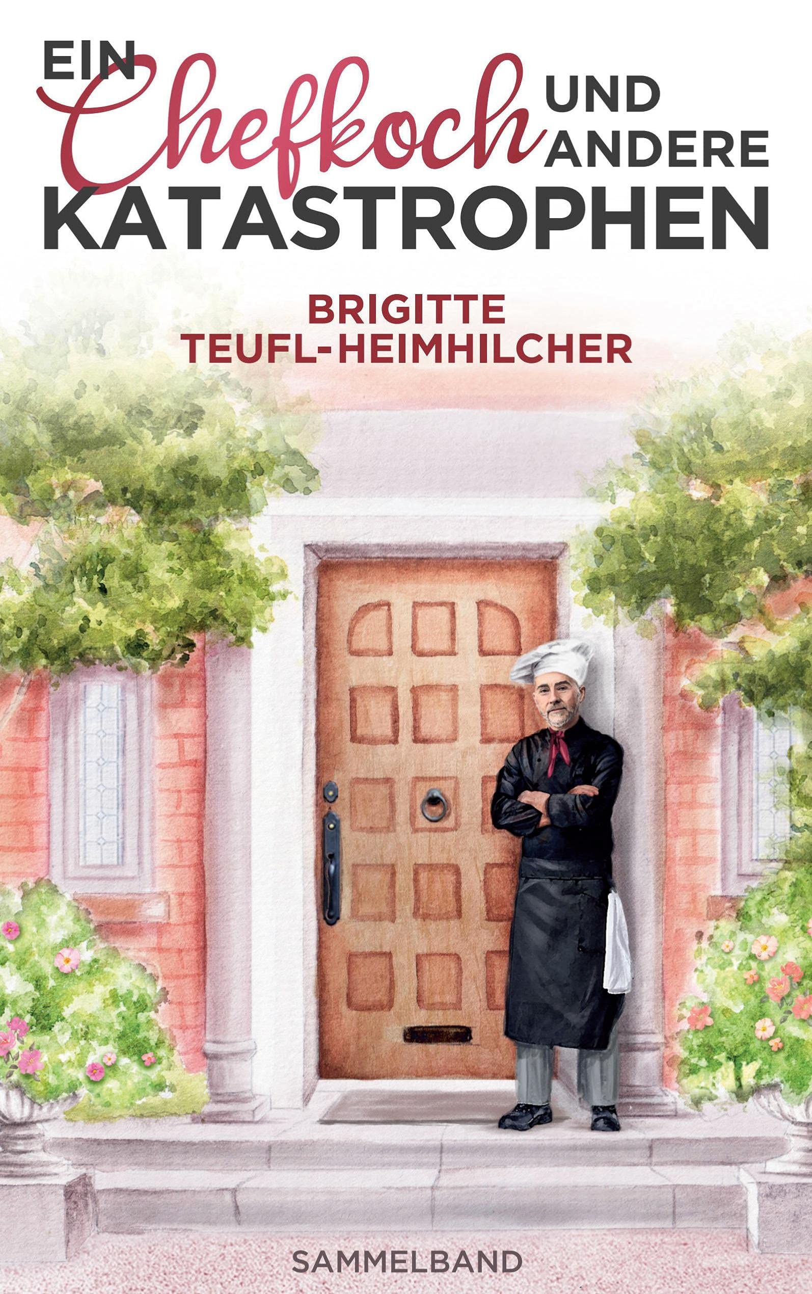 Ein Chefkoch und andere Katastrophen book