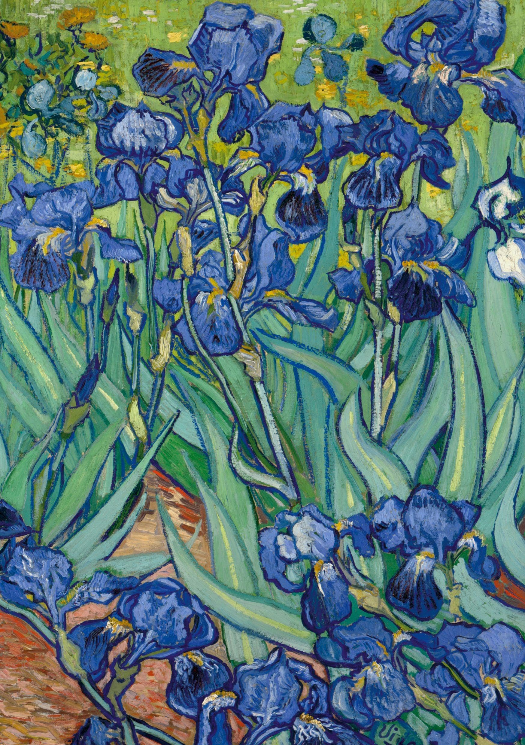 Notizbuch A5 blanko Softcover - 100 Seiten - Motiv Schwertlilien (Irises) Vincent van Gogh - 90g/m² - FSC Papier Classics