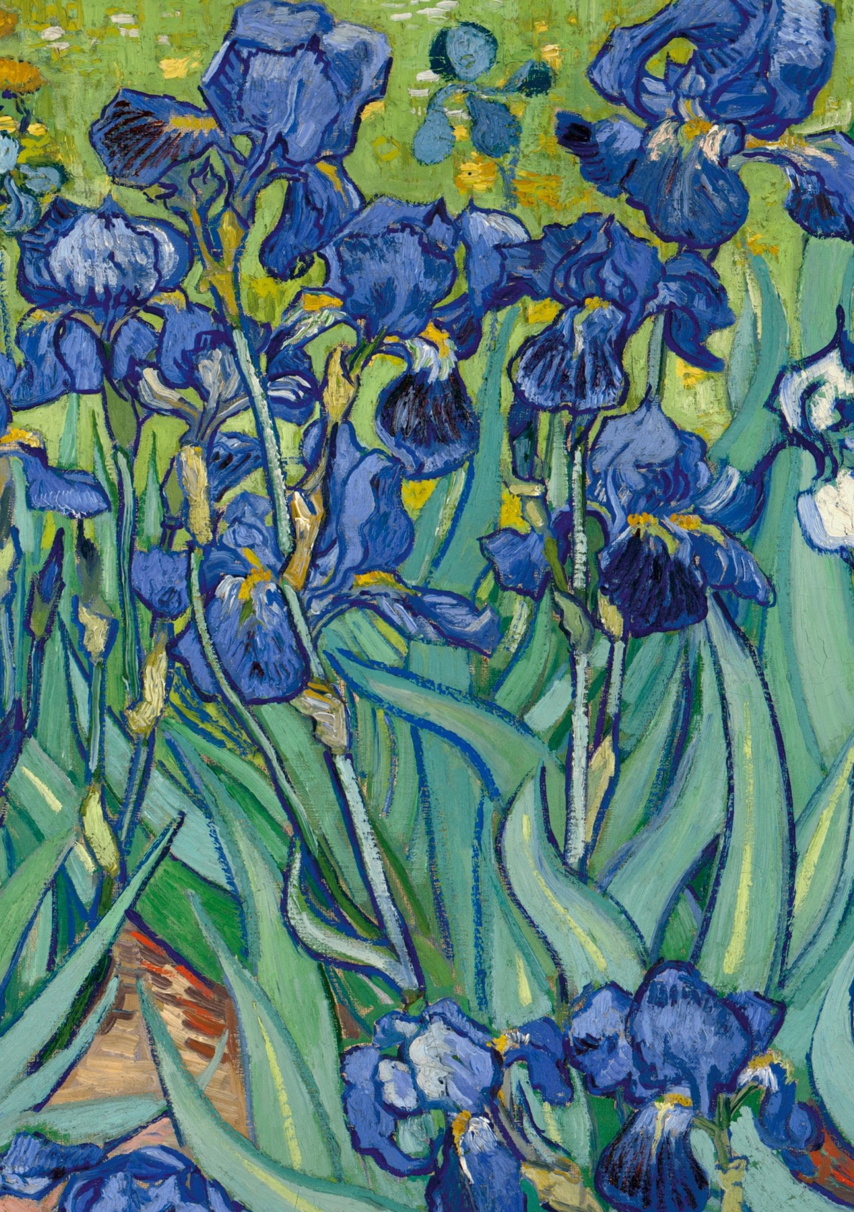 Notizbuch A5 blanko Hardcover - 100 Seiten - Motiv Schwertlilien (Irises) Vincent van Gogh - 90g/m² - FSC Papier Classics